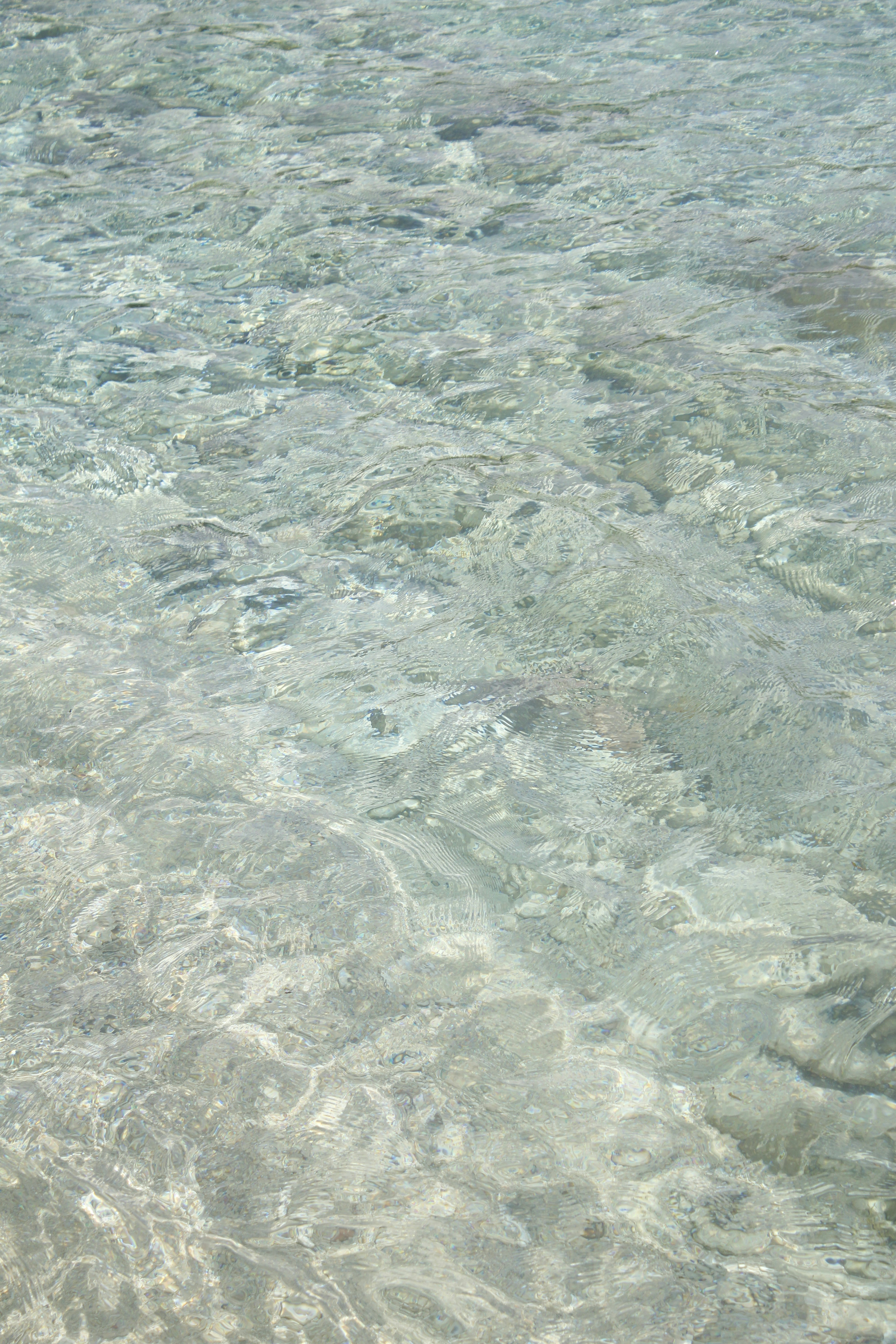 Photo by anatomescu92