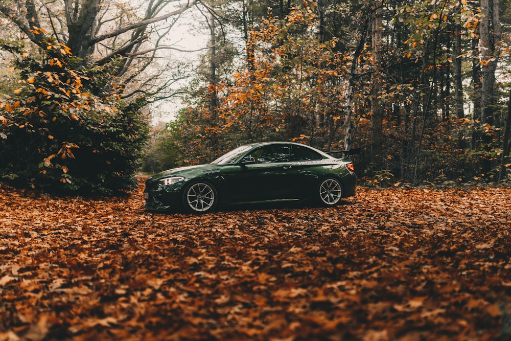 a car parked in a wooded area