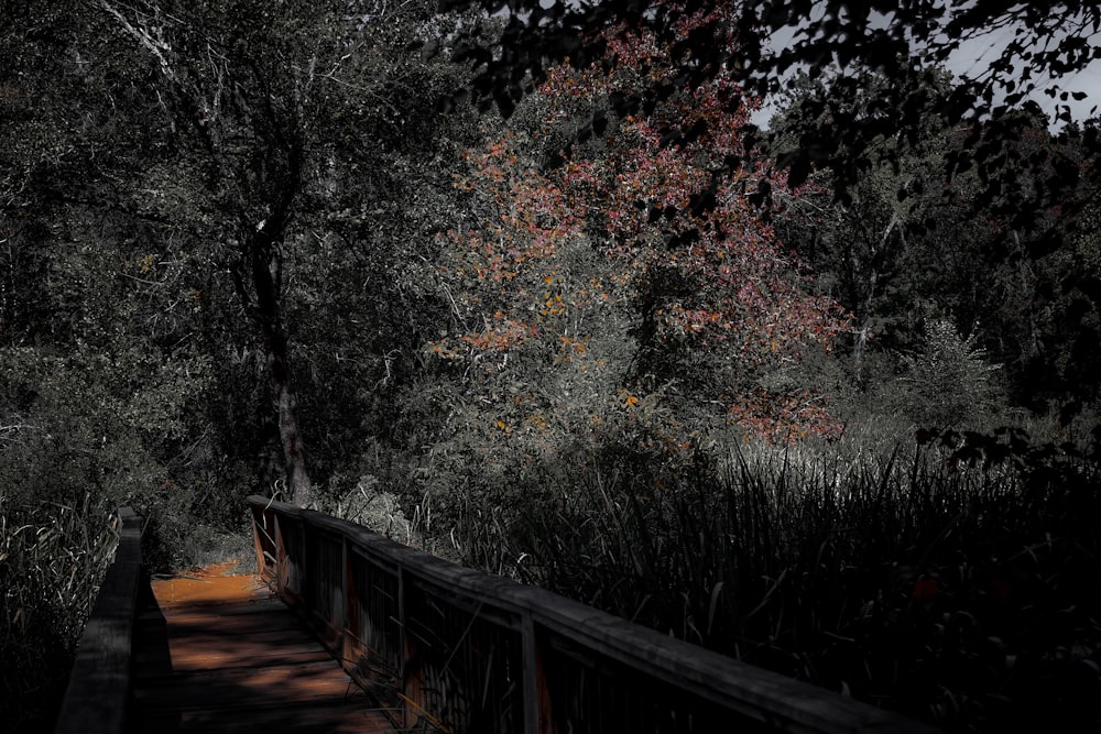 a wooden bridge with trees on either side of it