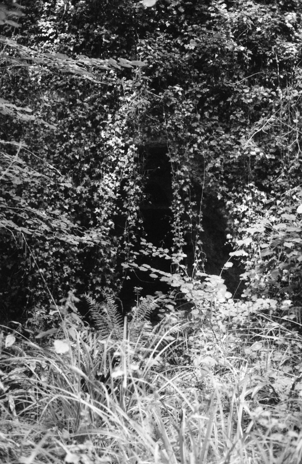 a black and white photo of a tunnel in a forest