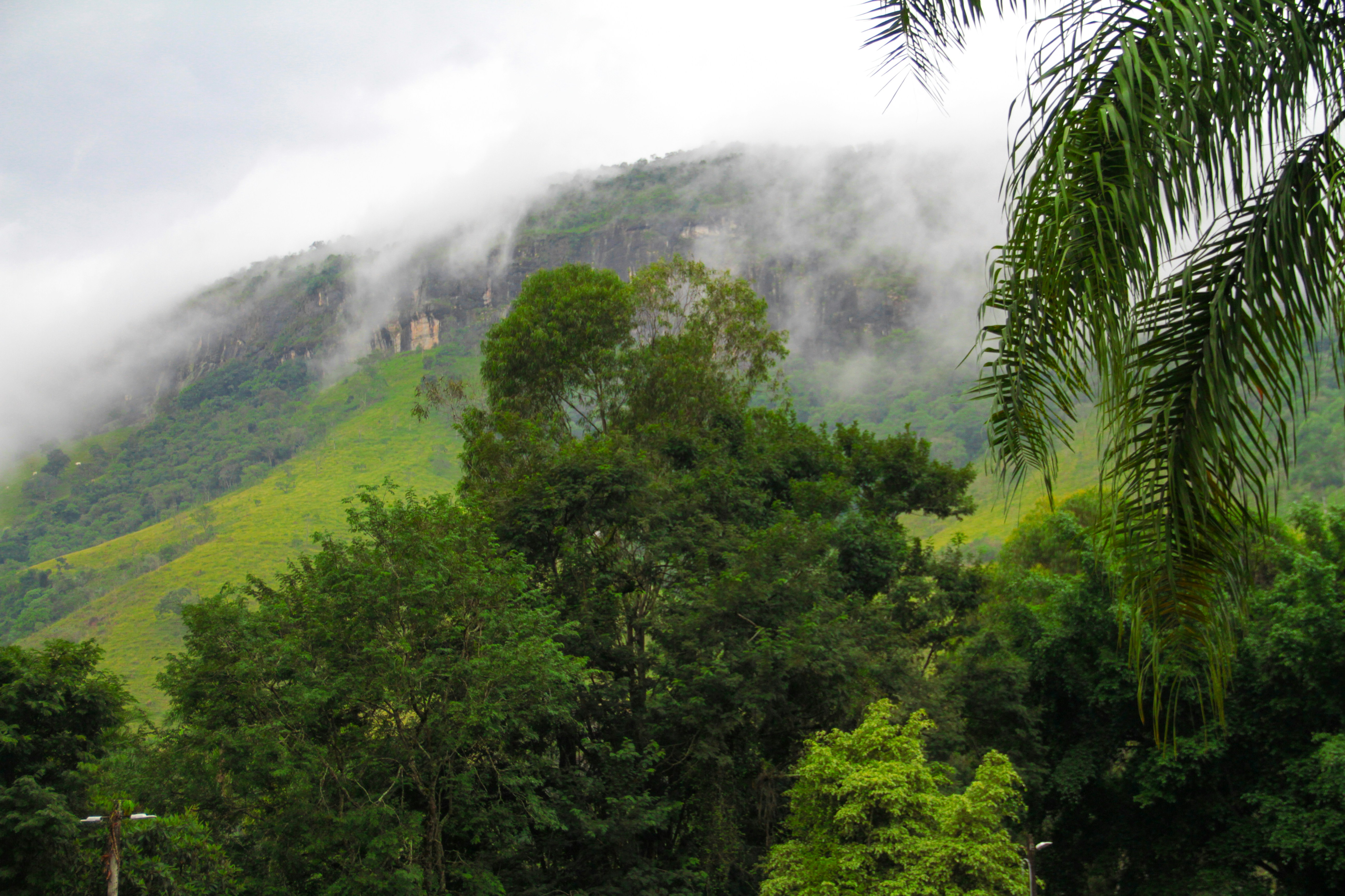 Photo by erica_viana