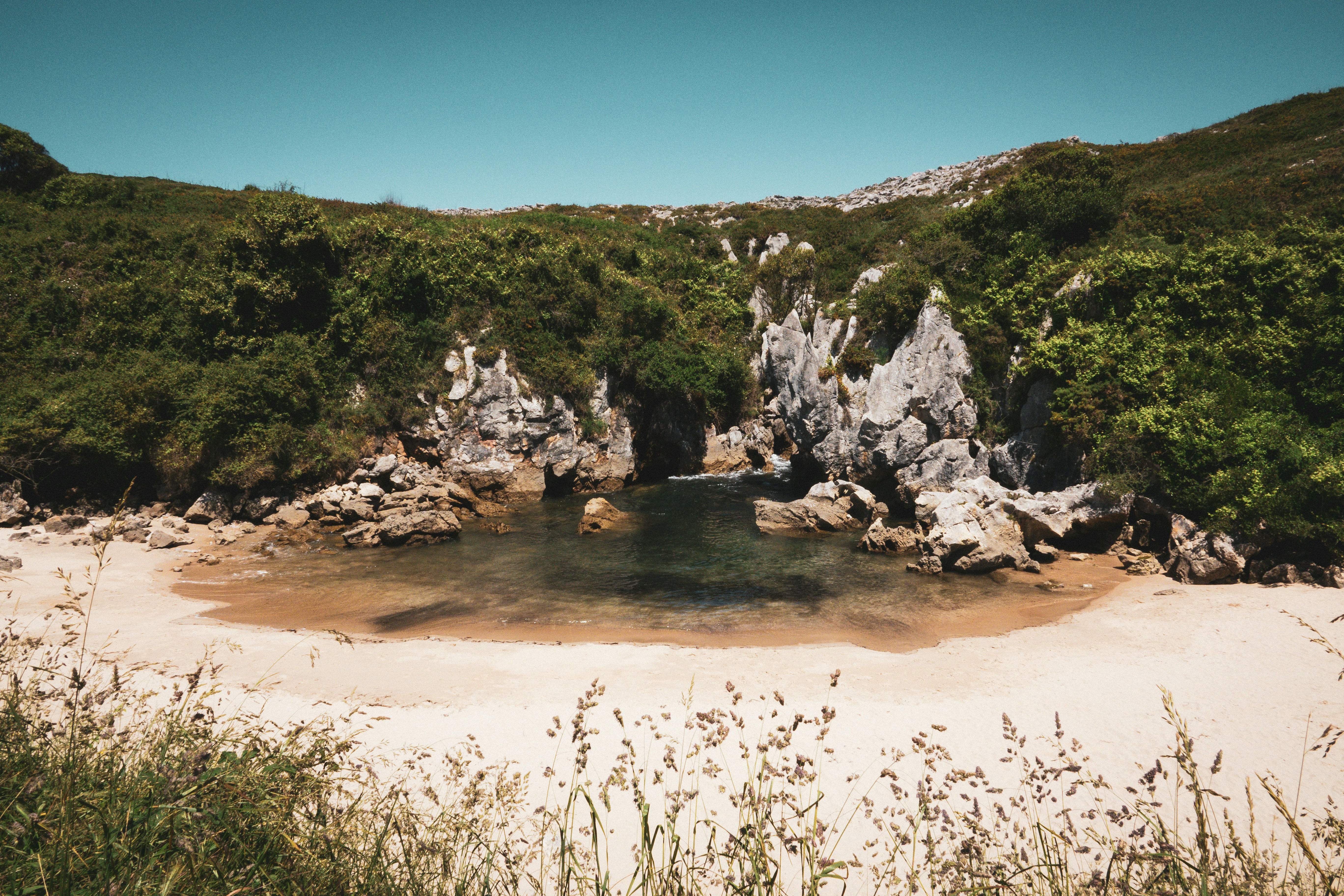 a rocky beach with trees and hills, 