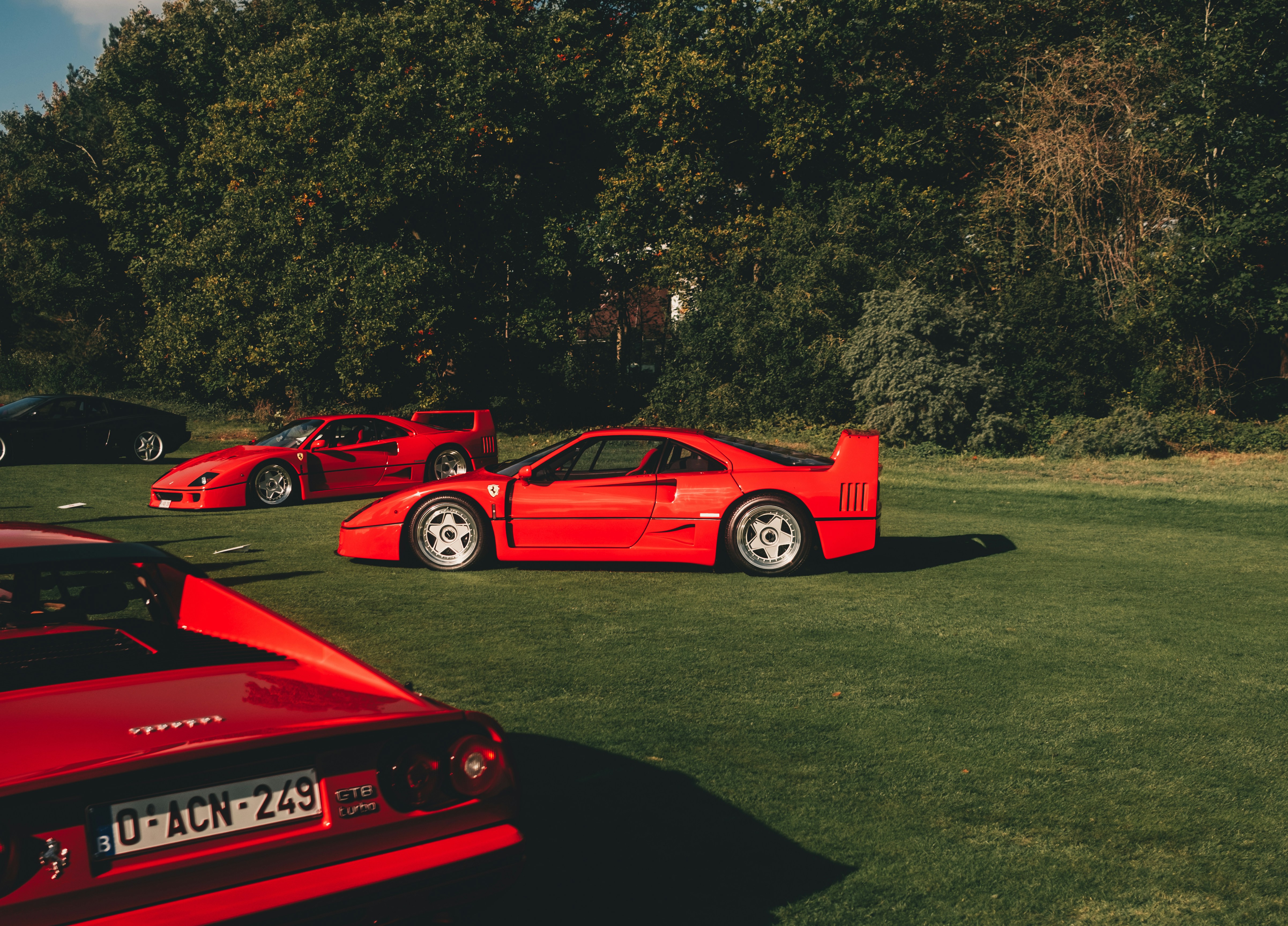 Photo by lorenzohamers