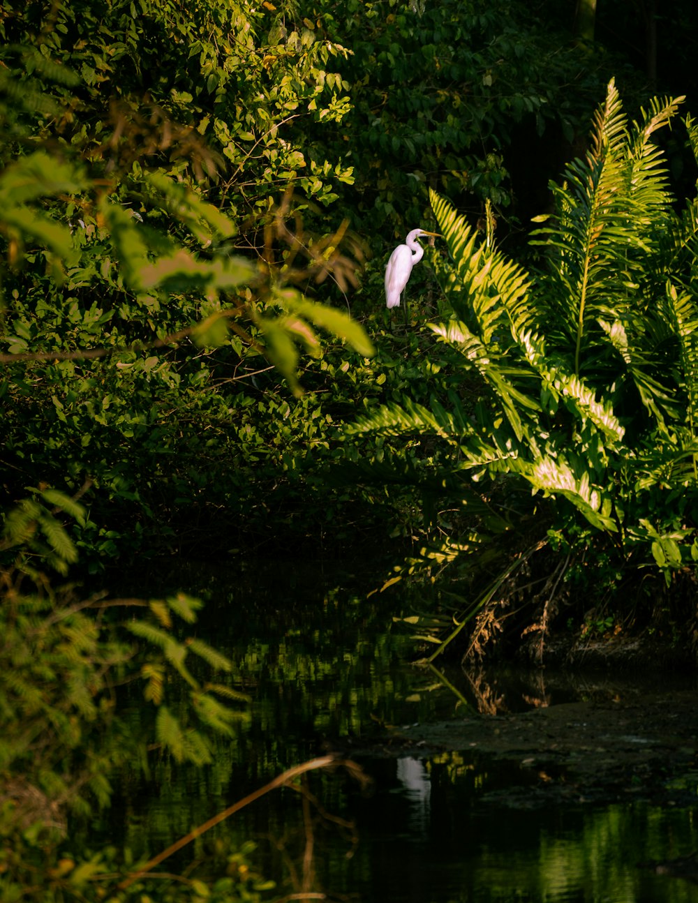 a flower on a tree