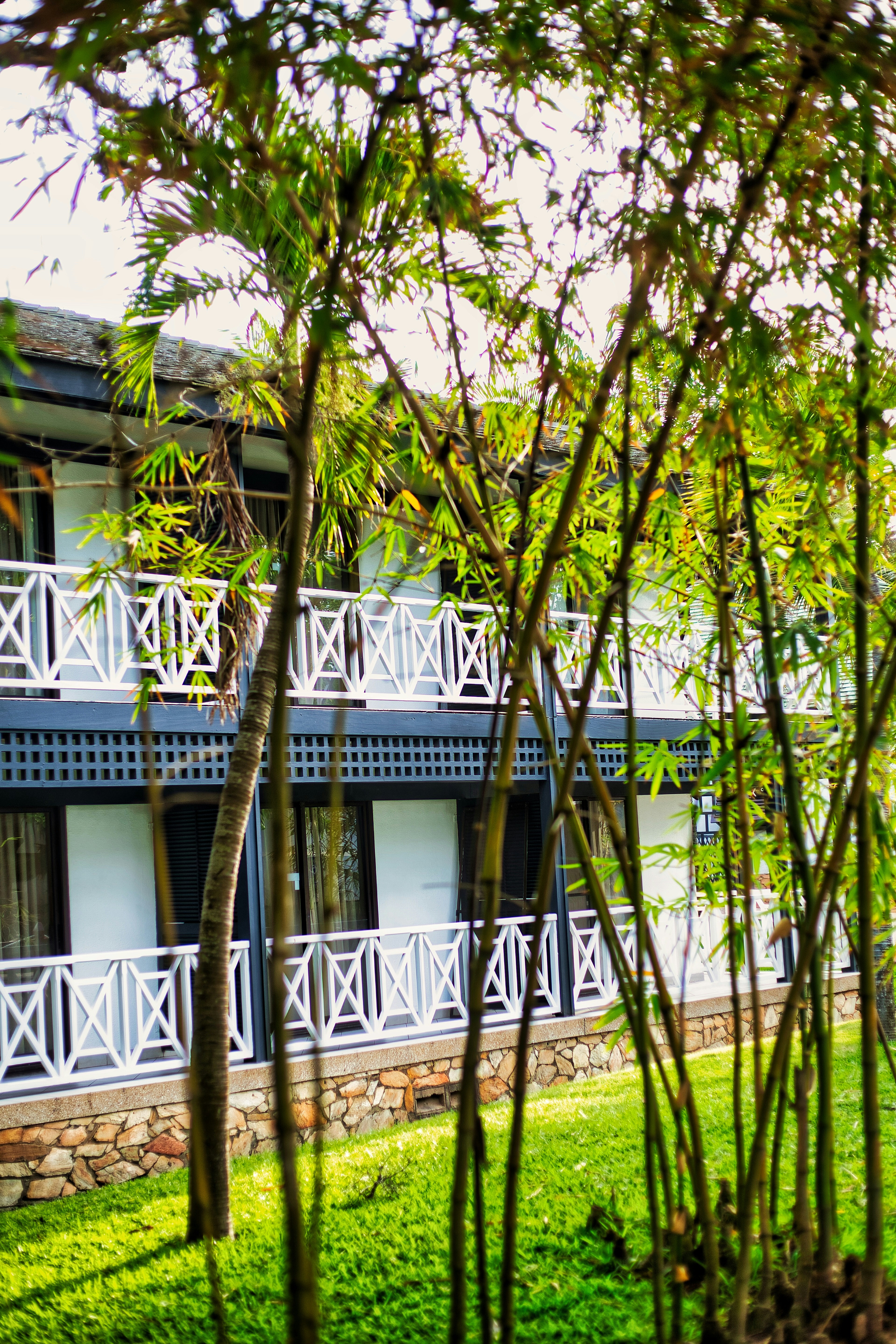 Photo by ozzzyphotos