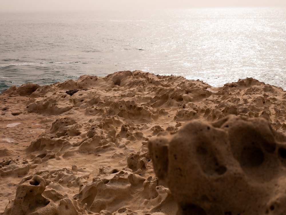 a close-up of a beach