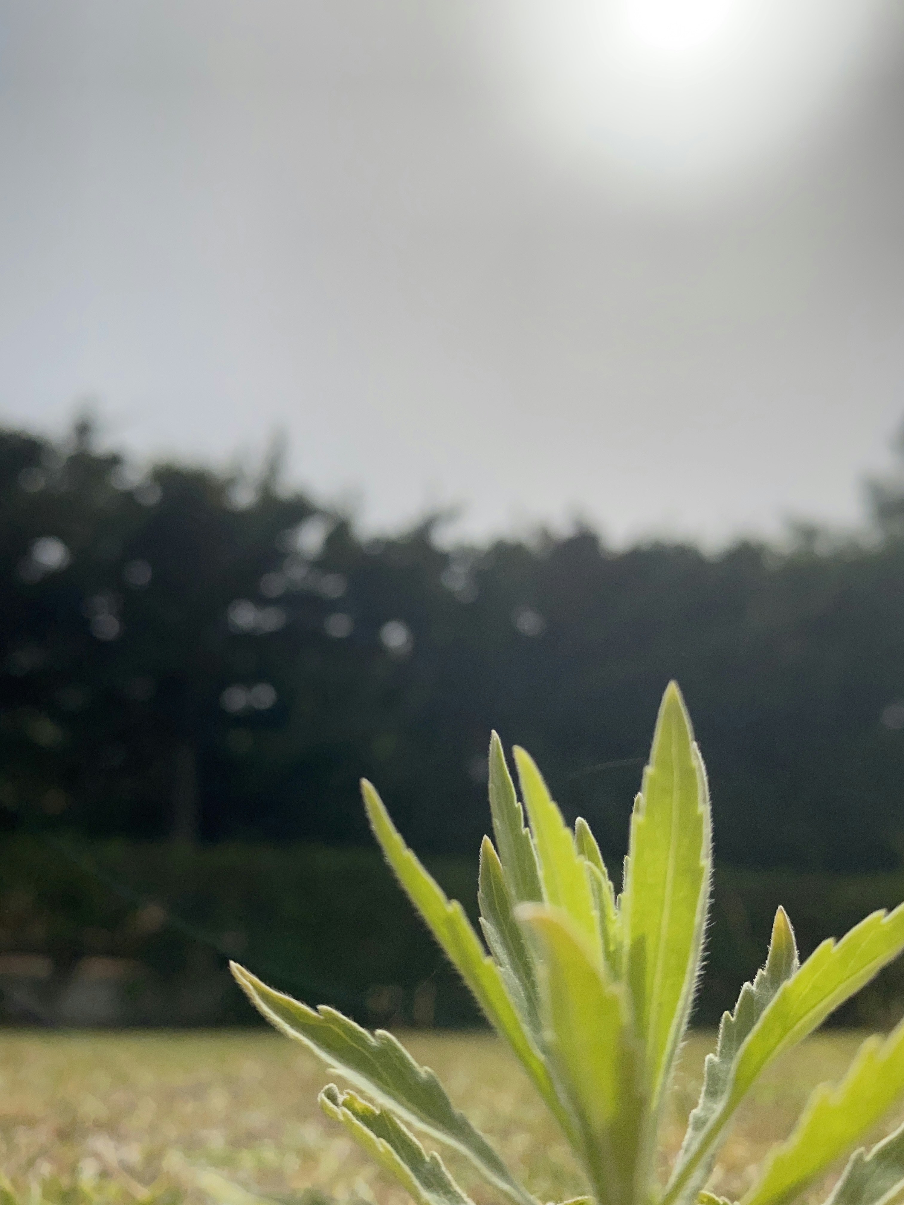 Jono Redfern (@jono_redfern) | Komunitas Foto Unsplash