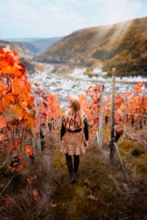 a person walking on a path with a fence and a field of flowers