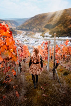 a person walking on a path with a fence and a field of flowers
