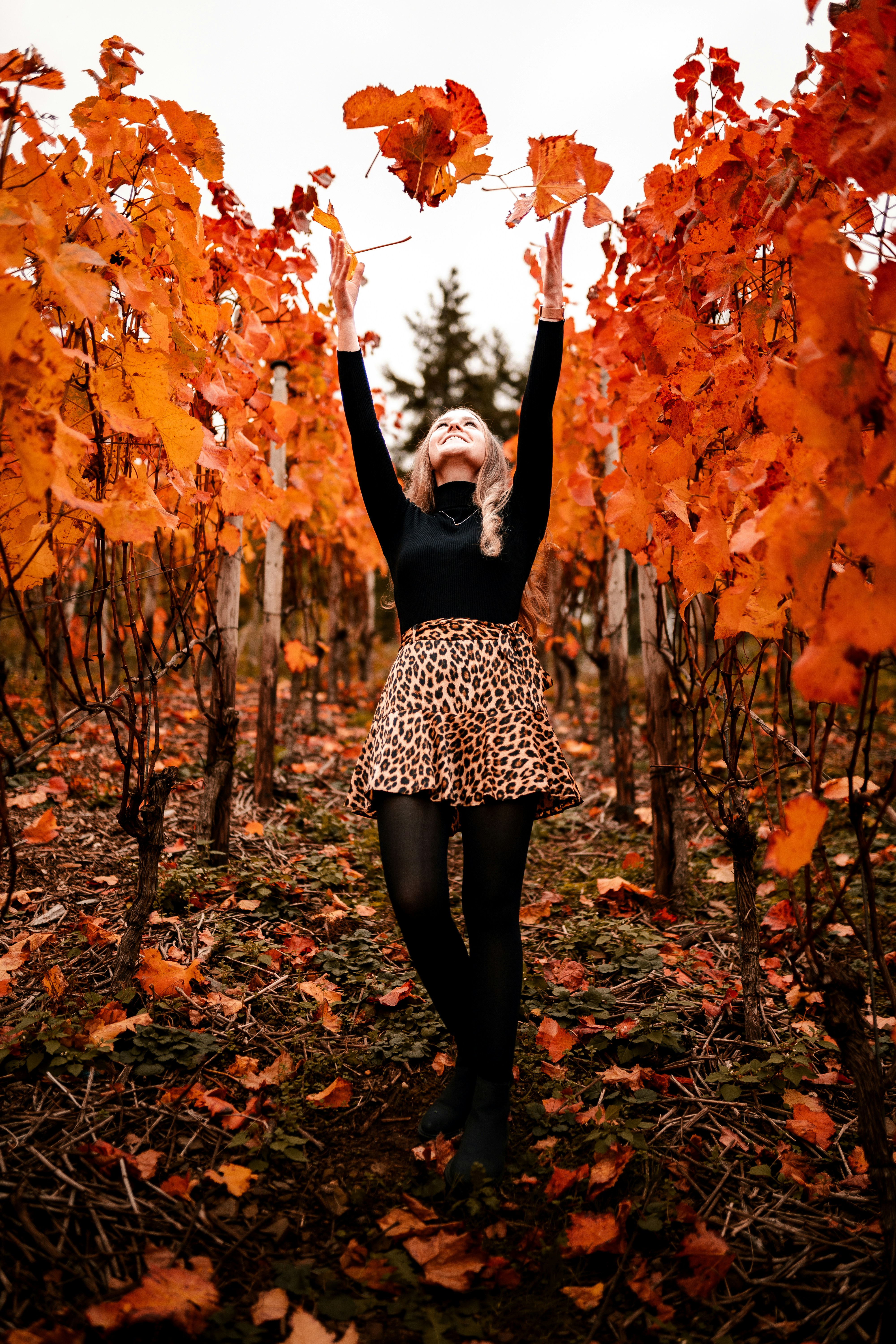 A woman standing in a forest photo – Free Autumn Image on Unsplash