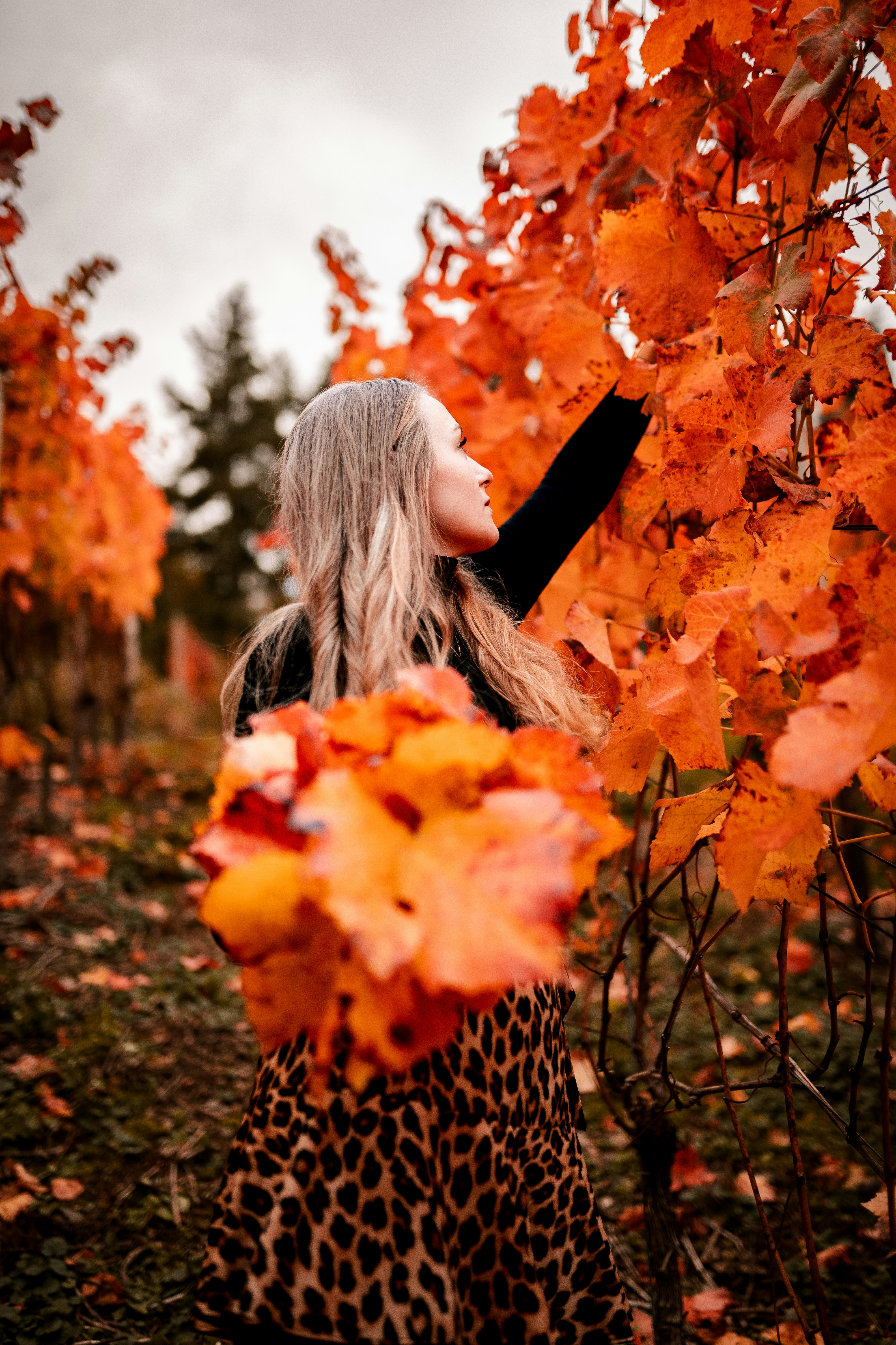 Photo by mauricesahl