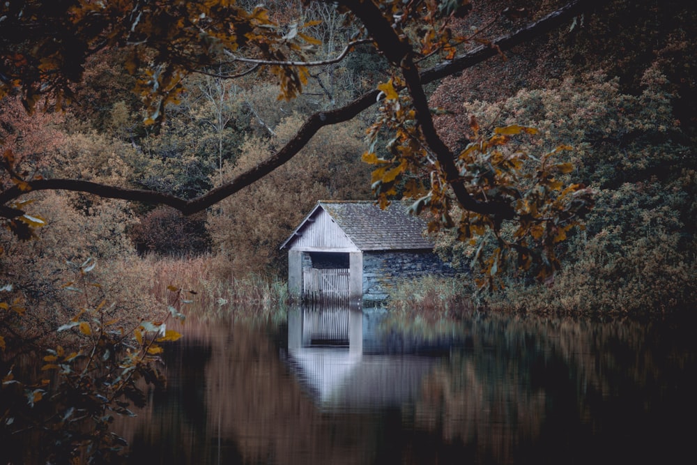 a house on a lake surrounded by trees