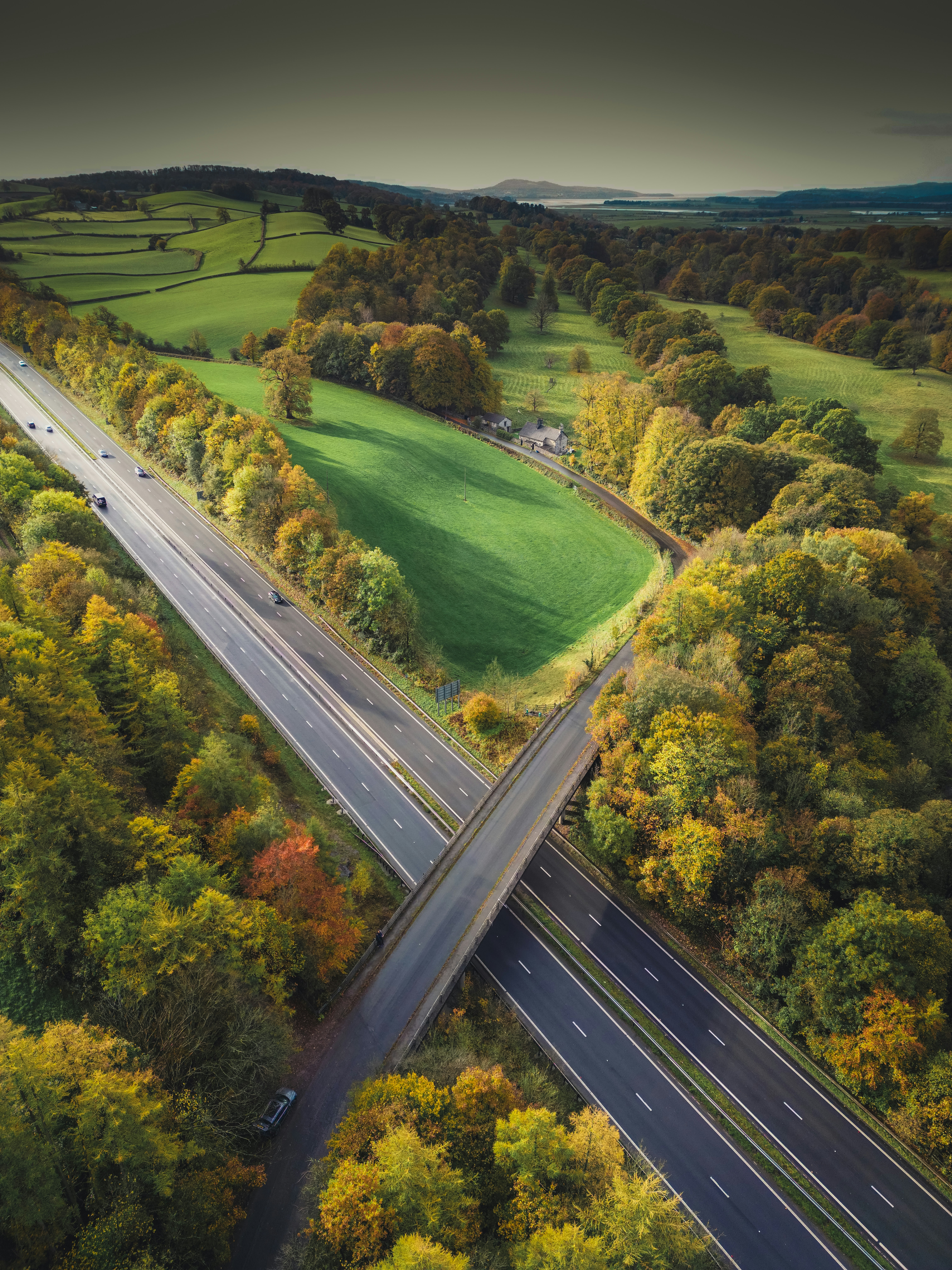A highway with trees on both sides photo – Free Animals Image on Unsplash