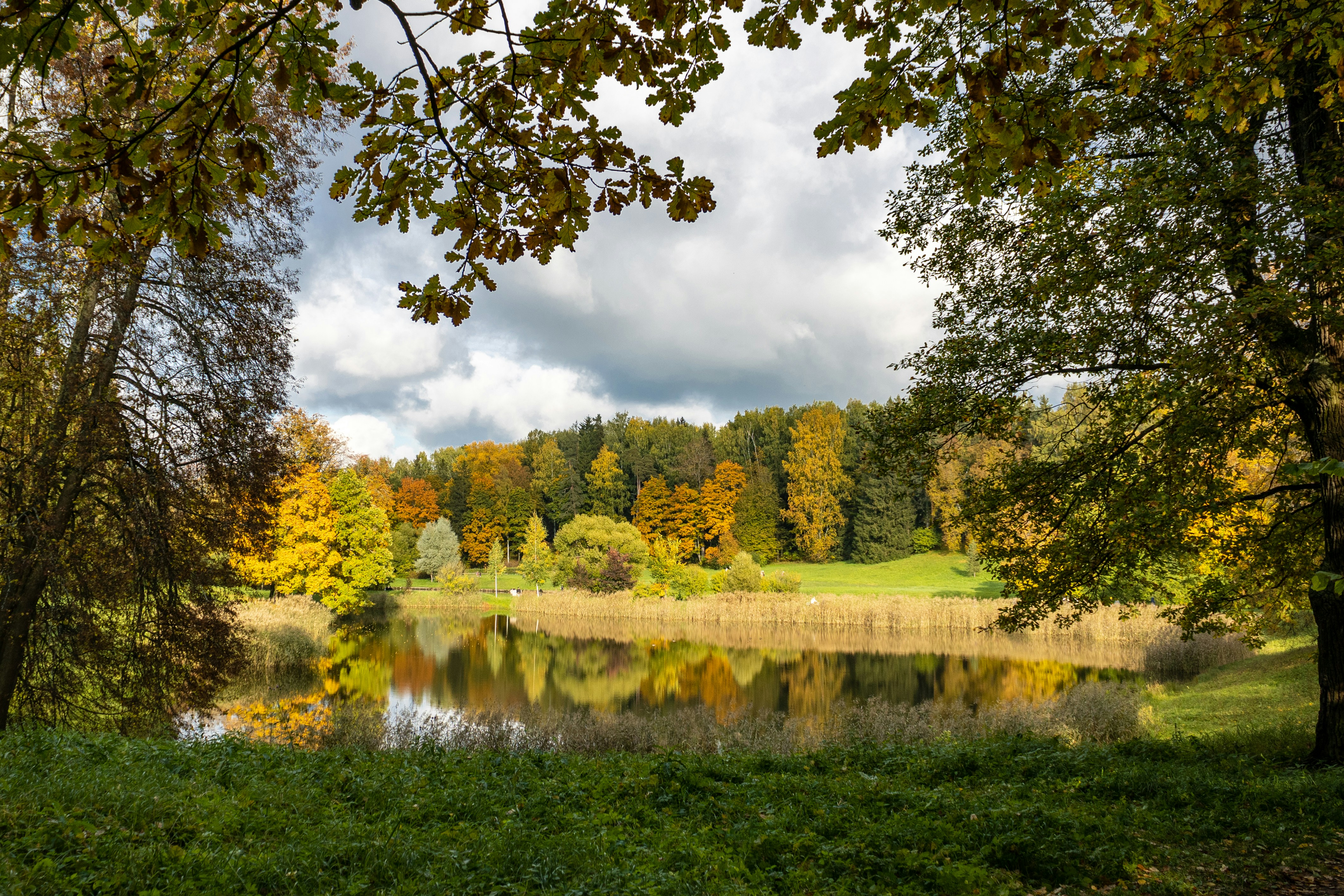 Photo by yurij_katkov