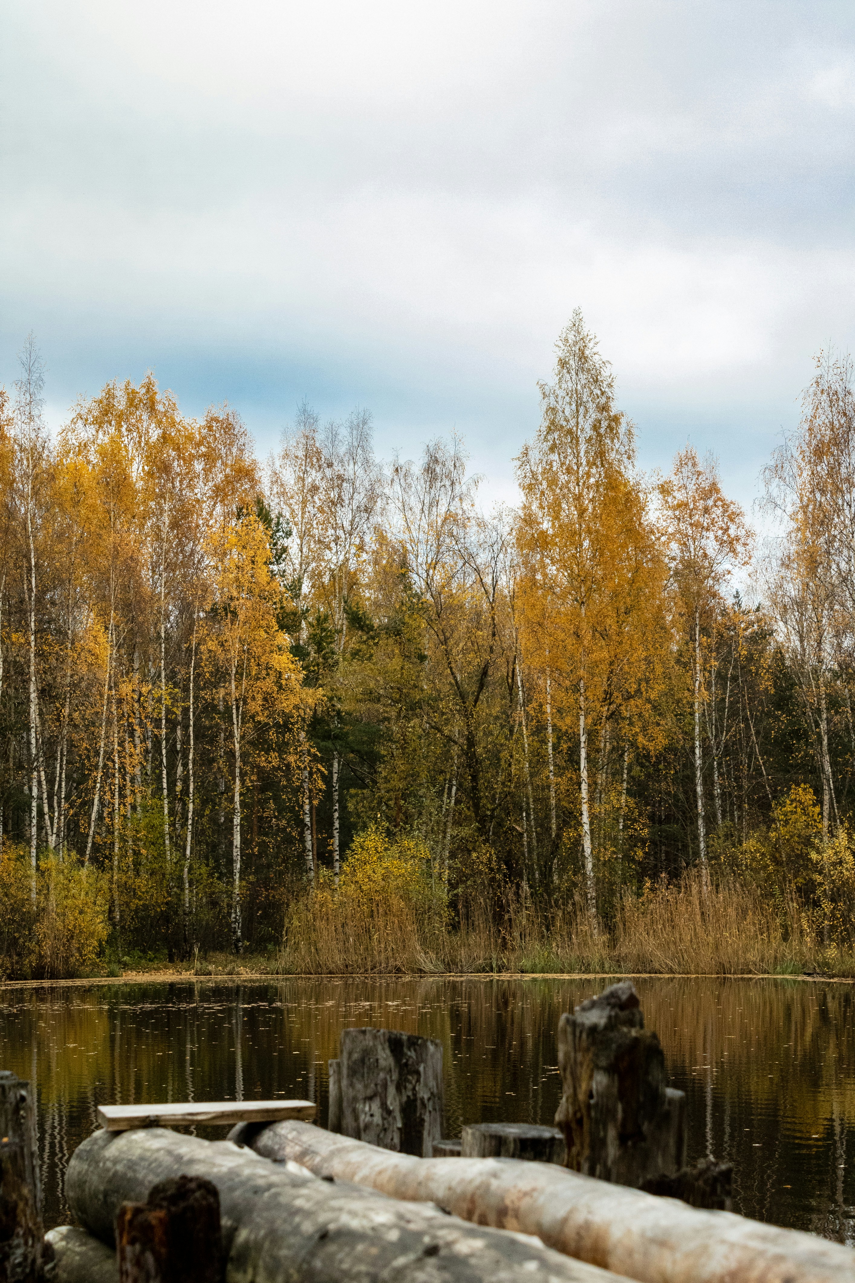 Photo by yurij_katkov