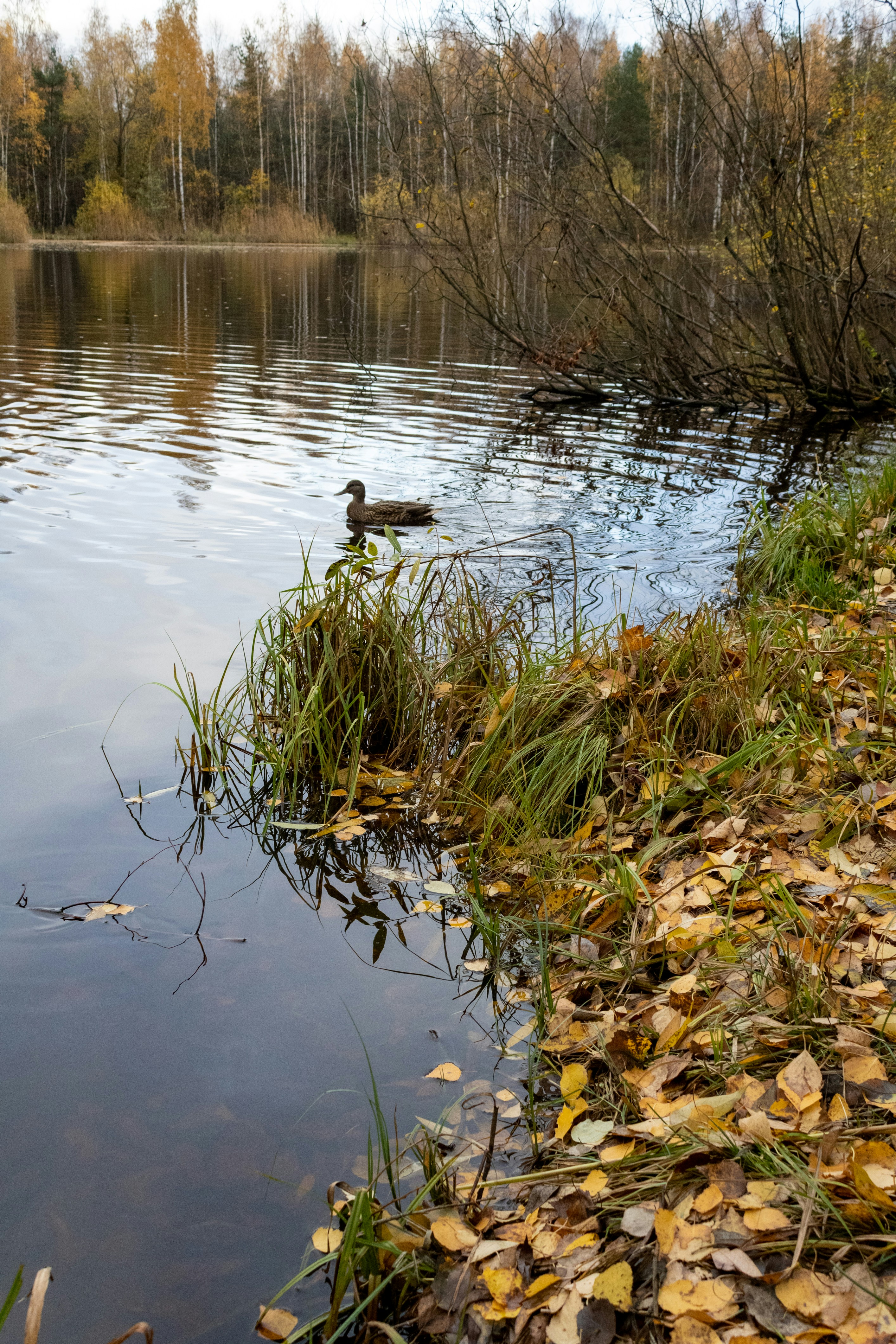 Photo by yurij_katkov