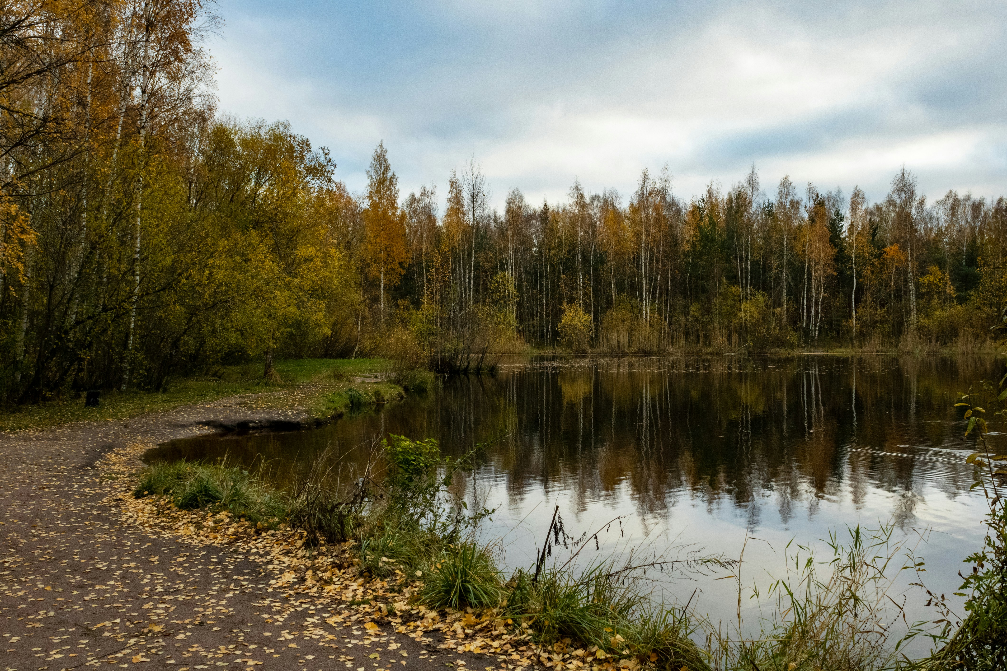 Photo by yurij_katkov