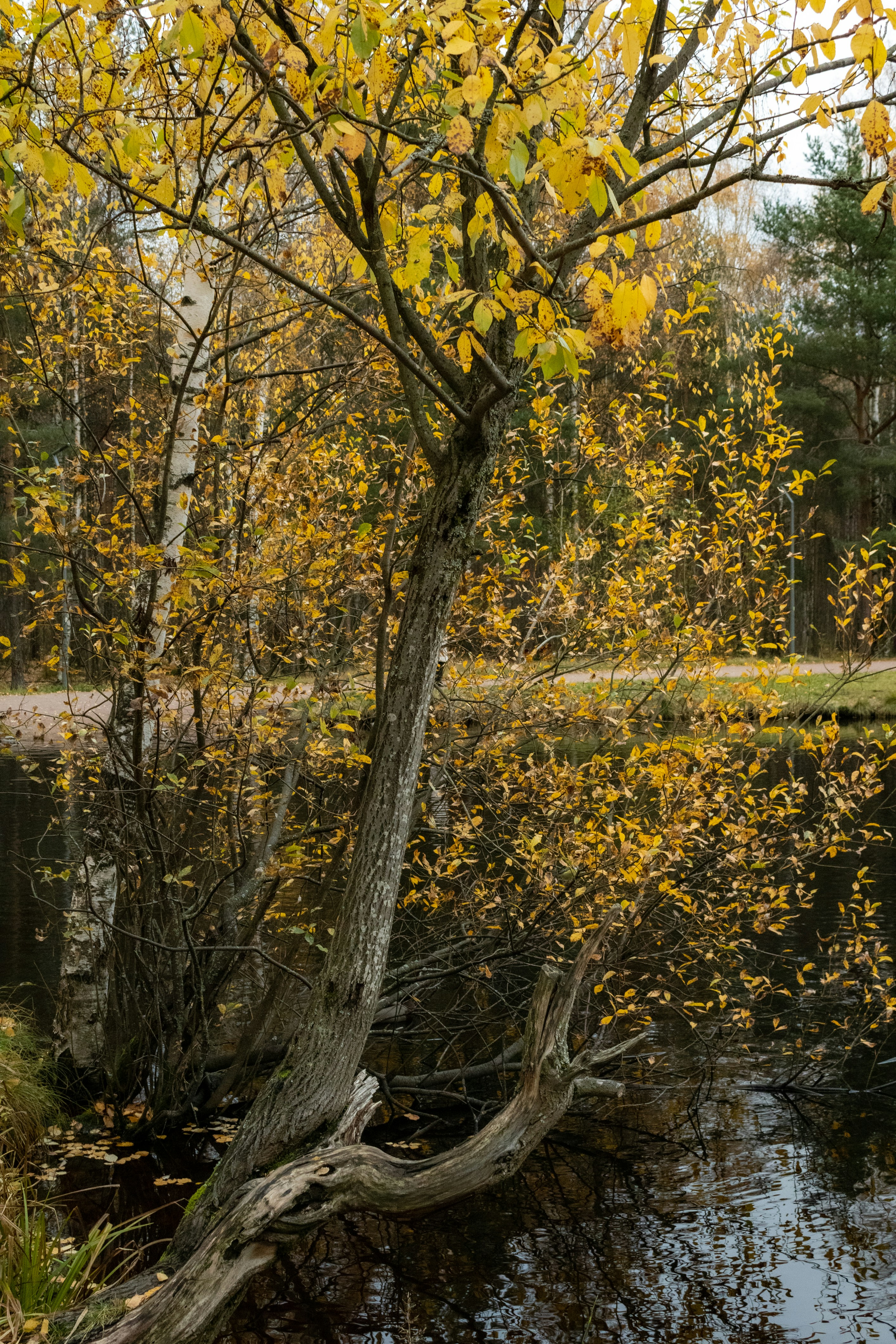 Photo by yurij_katkov