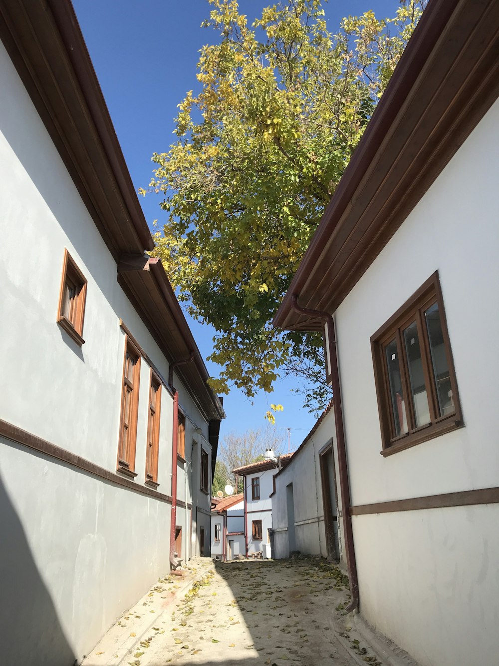 a row of white buildings