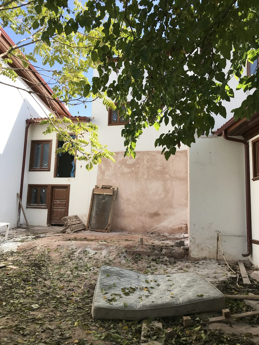 Un albero in un cortile