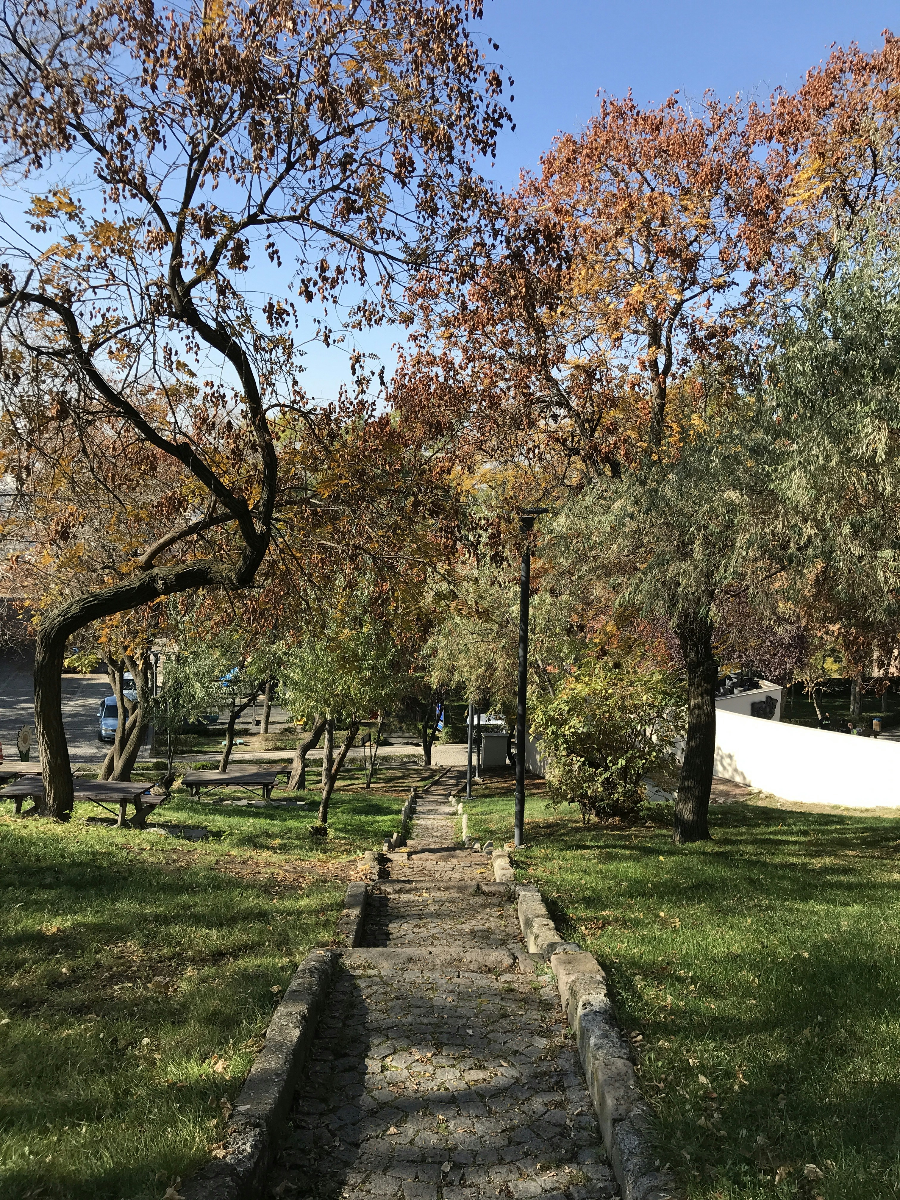 a path through a park