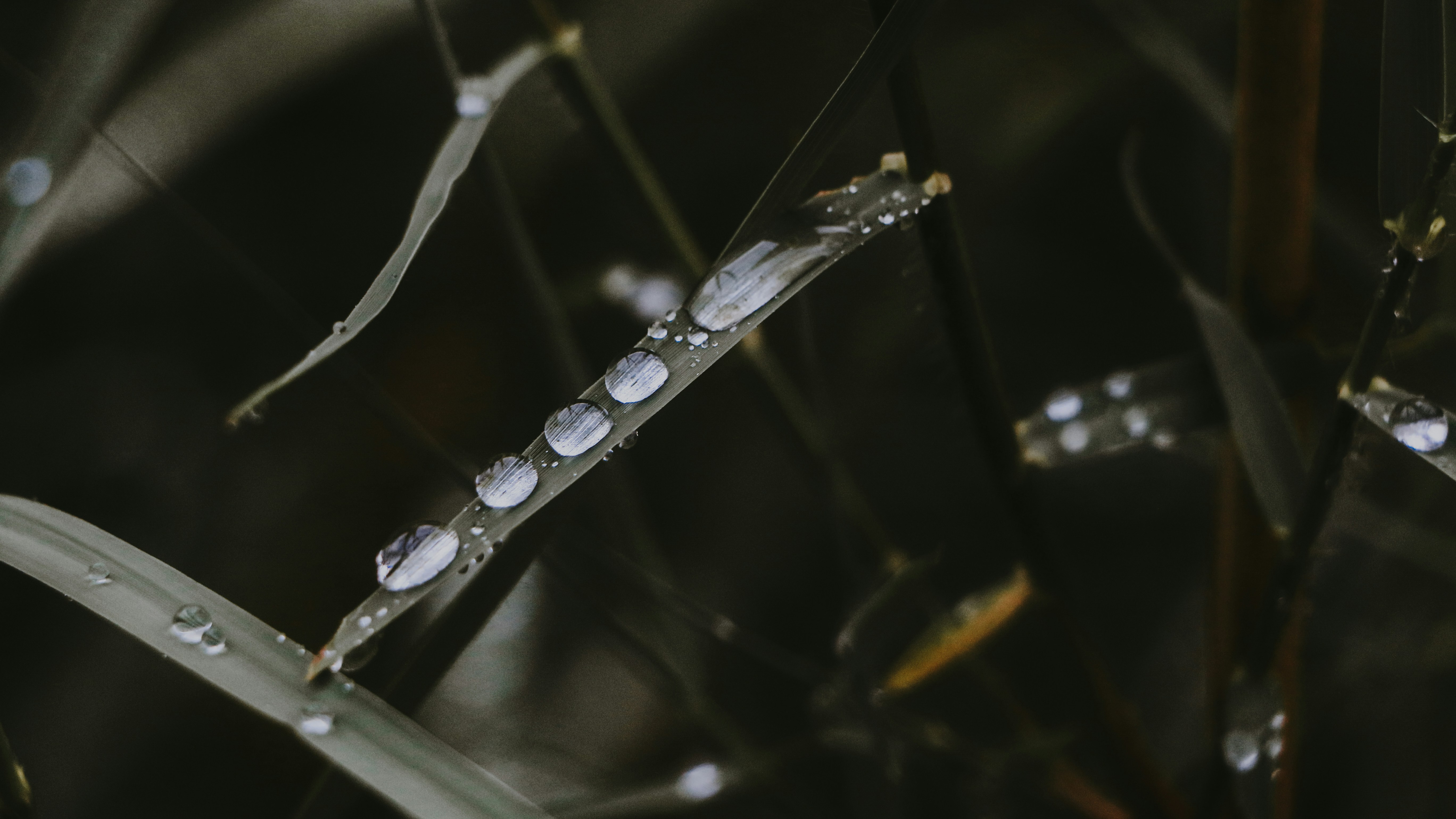 Photo by neha1301039