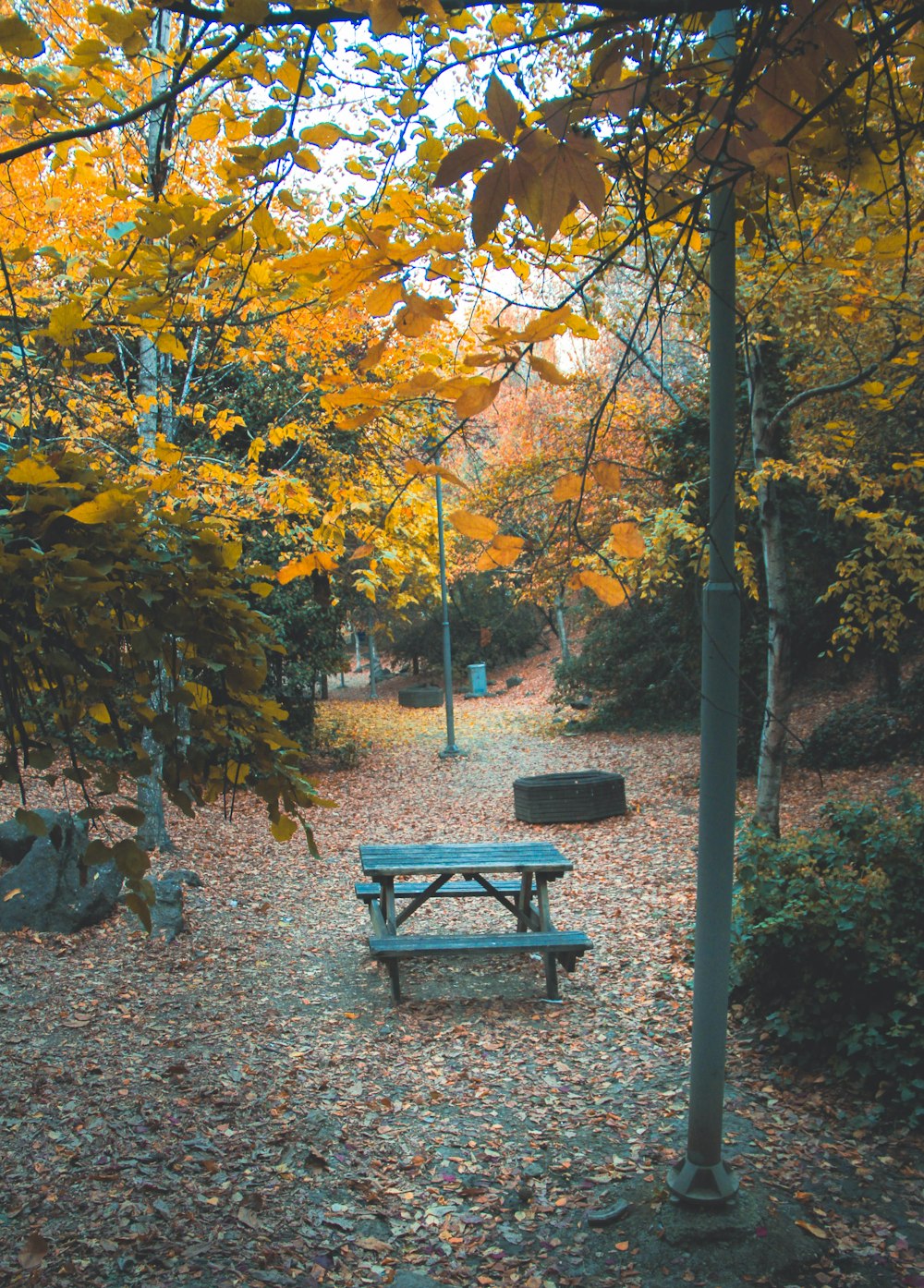 a picnic table in a park