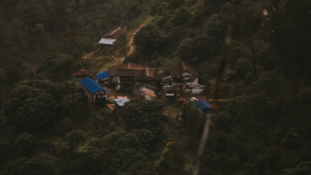 Un grupo de casas en una zona boscosa