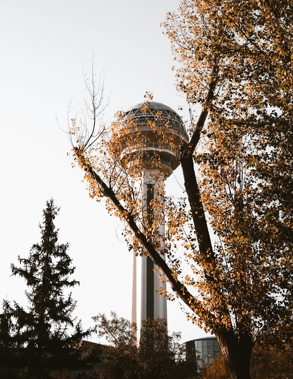 a tall tower with trees around it