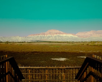 A scenic view of a research expedition in the field.