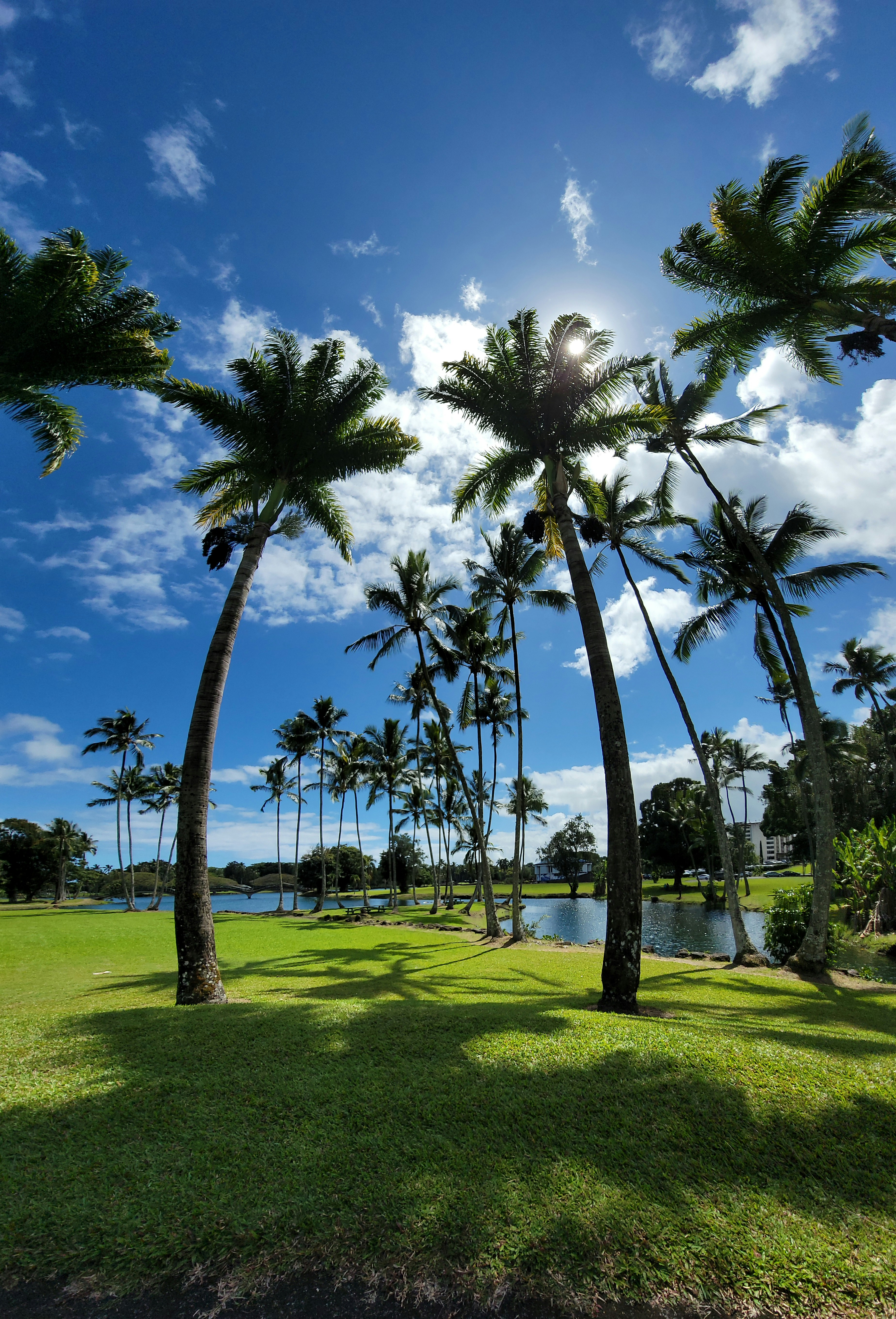 Photo by torimartino