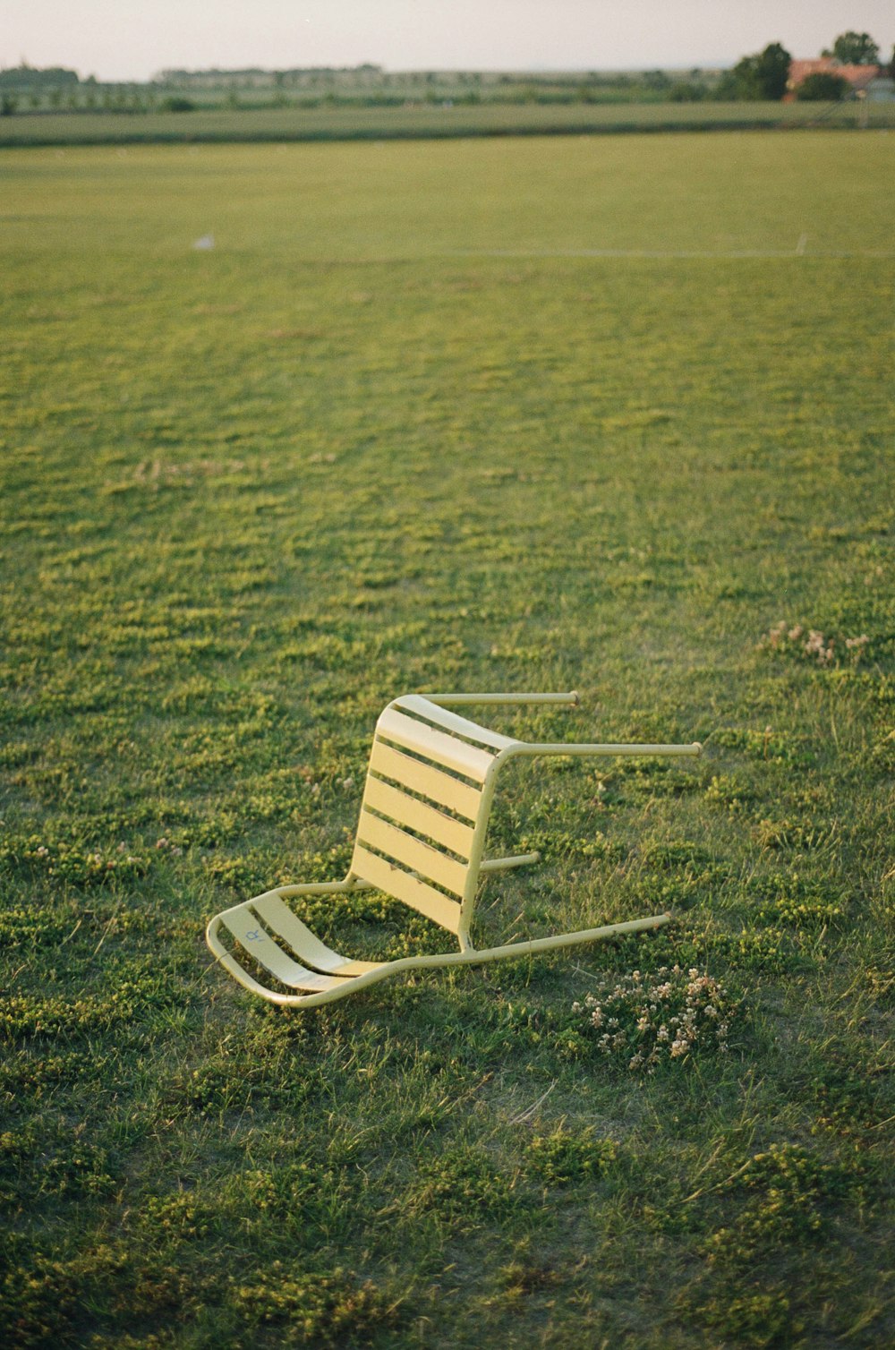 a bench in a field