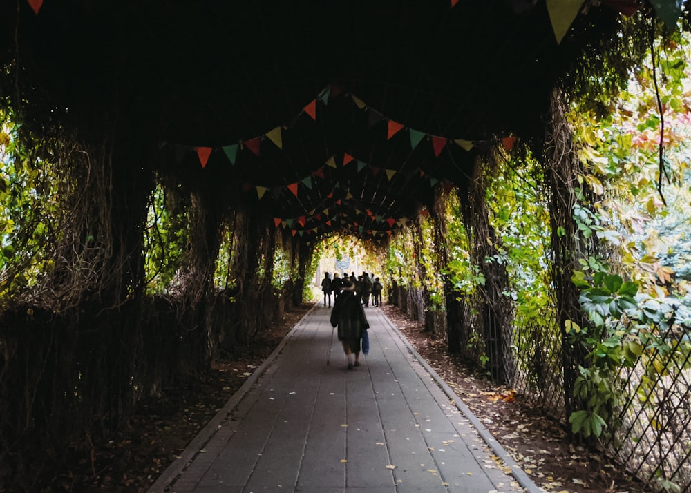 a group of people walking down a path through a forest