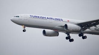 A large passenger airplane from Turkish Airlines is captured in mid-air with its landing gear extended. The aircraft appears to be an Airbus A330 and is painted in the airline's standard white and blue livery with a red emblem. The sky is overcast, creating a muted background.