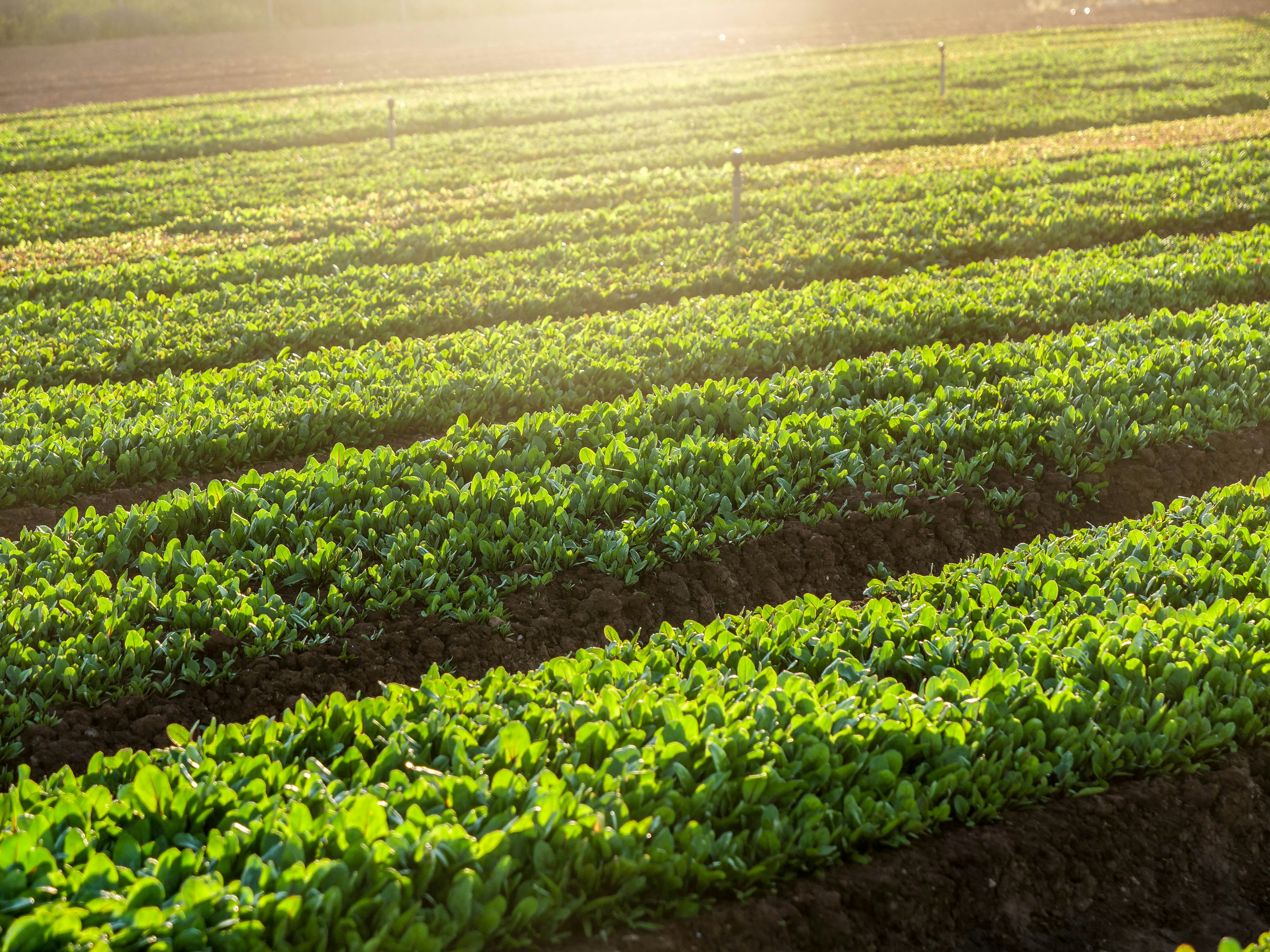 Photo by nebulargroup