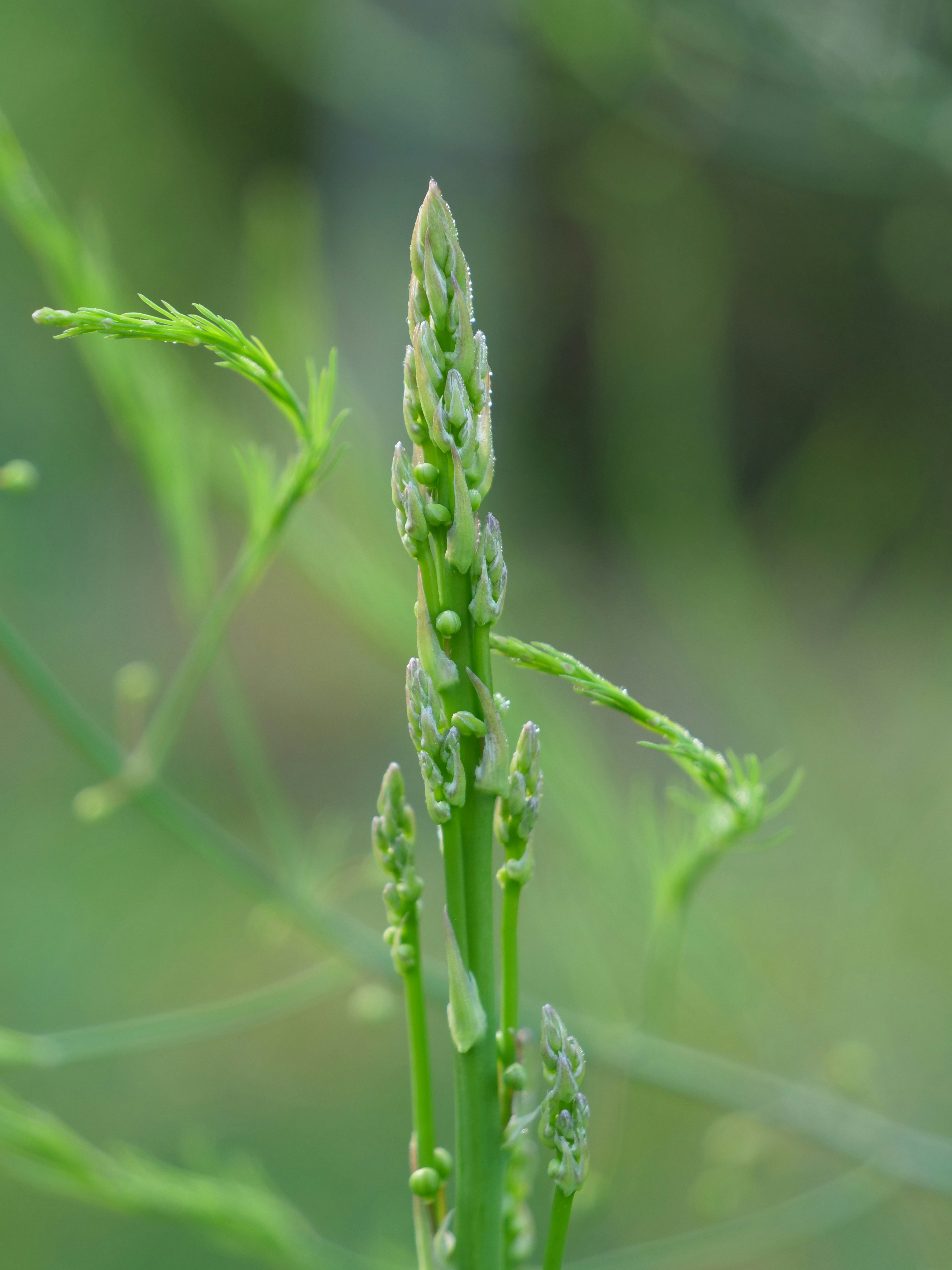 Photo by nebulargroup