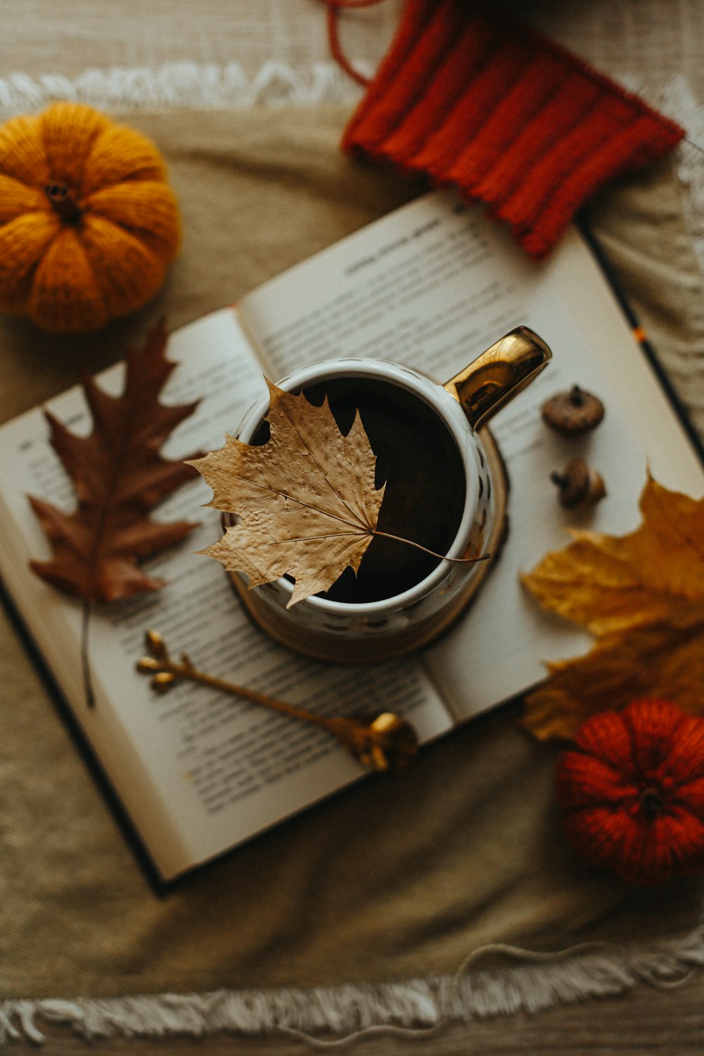 a book and a glass of wine on a table