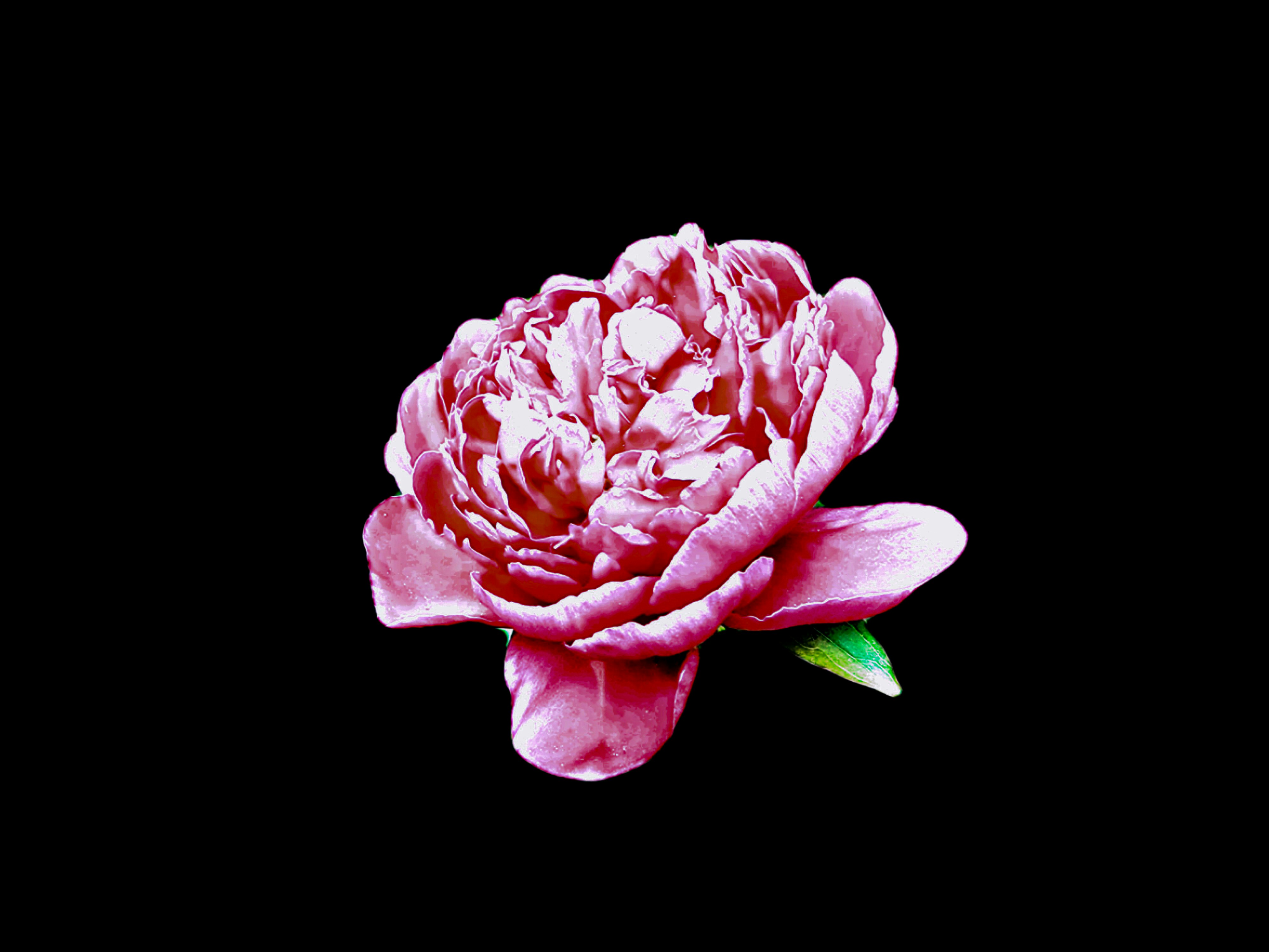 Photo by ashlynnephotos