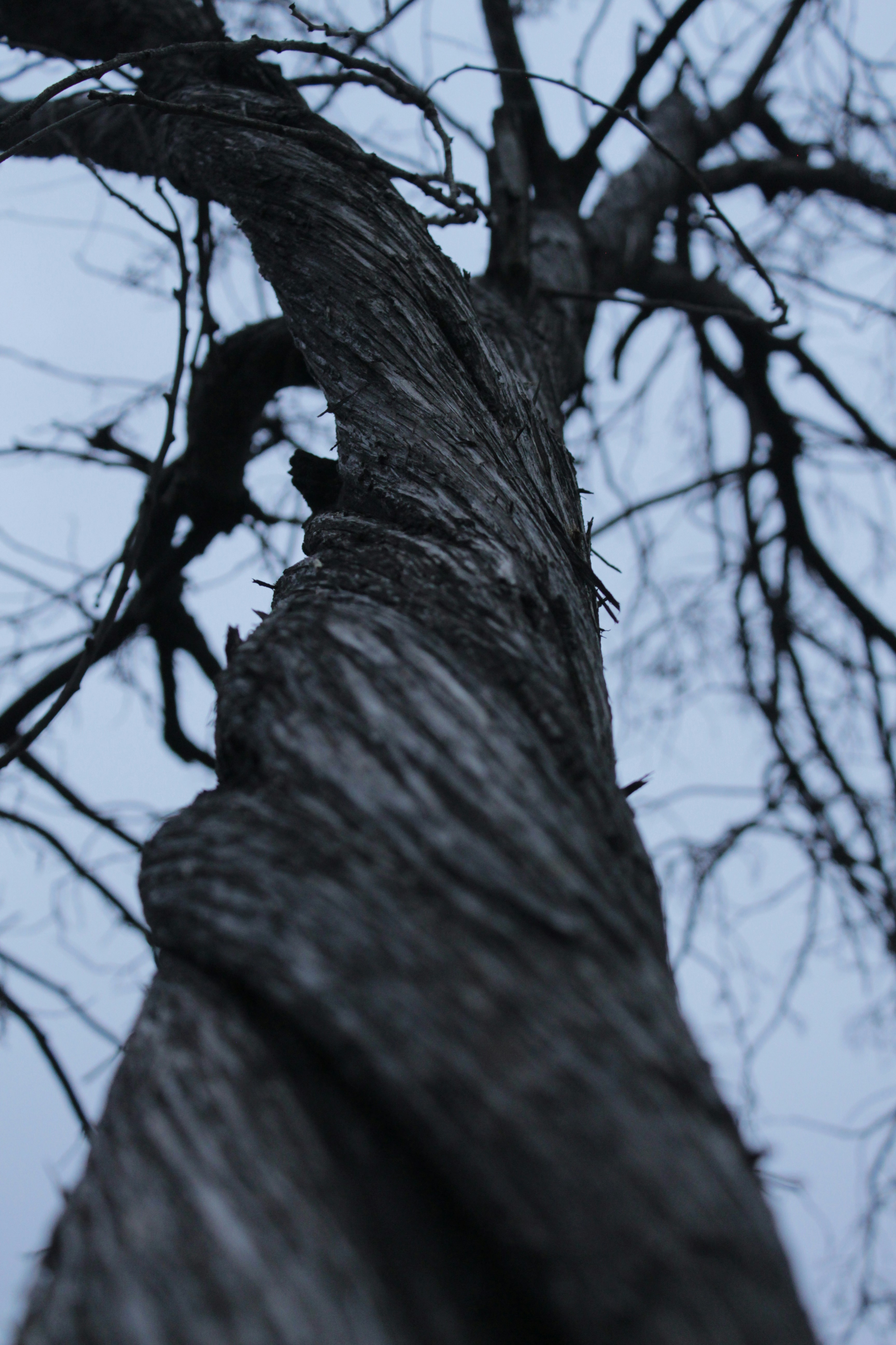 Photo by michelleponi