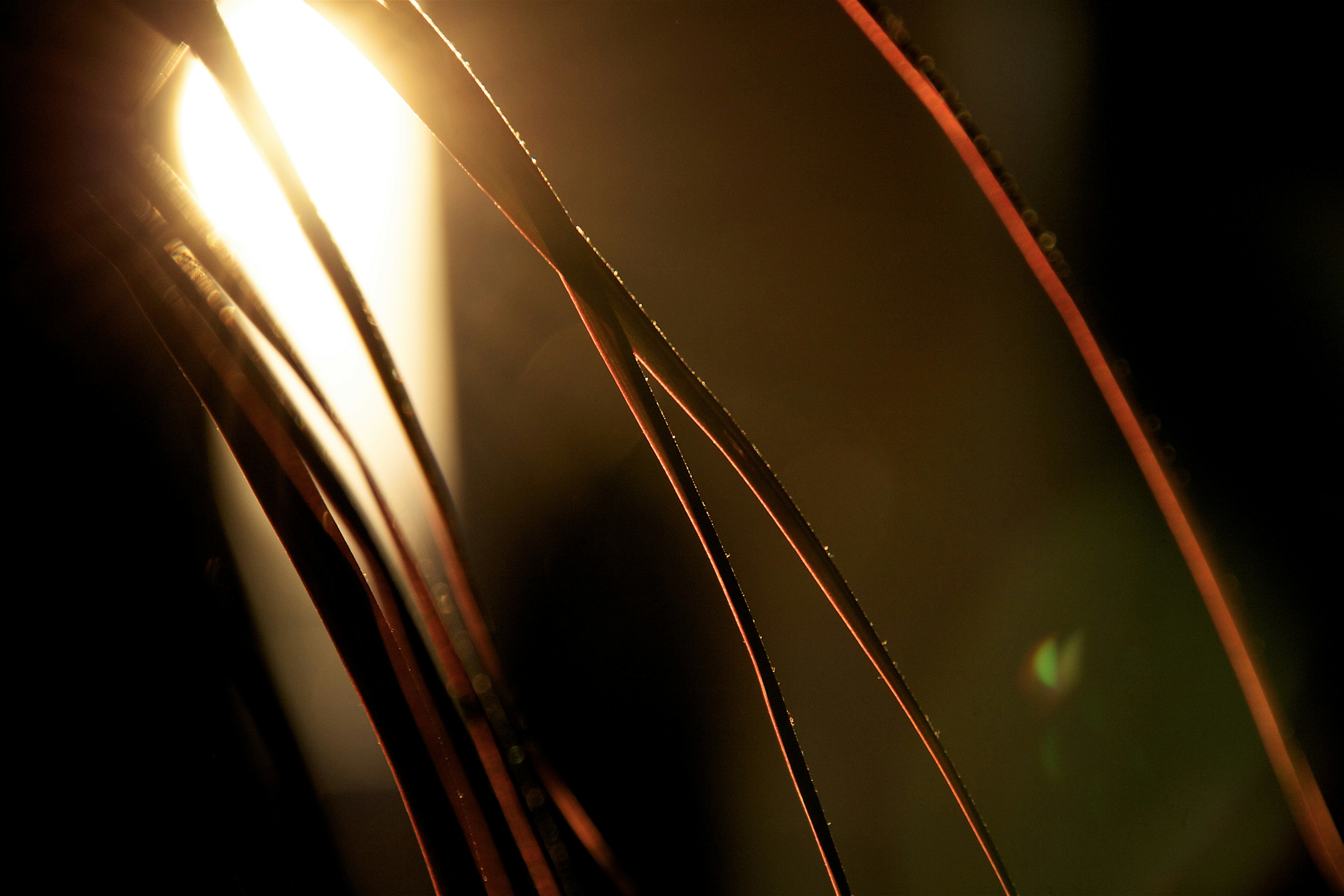 Photo by mihaly_koles