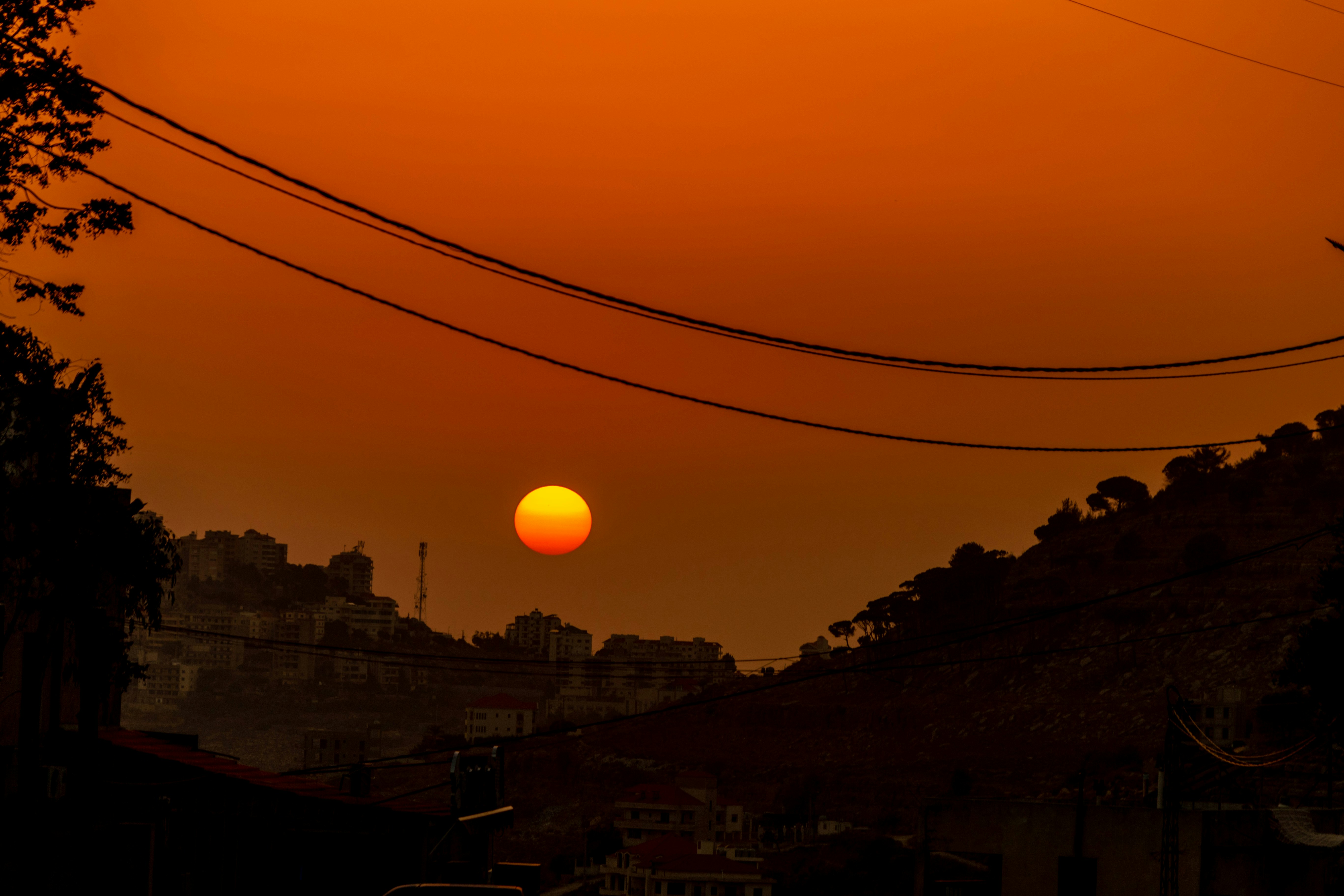 Photo by starkie_pics