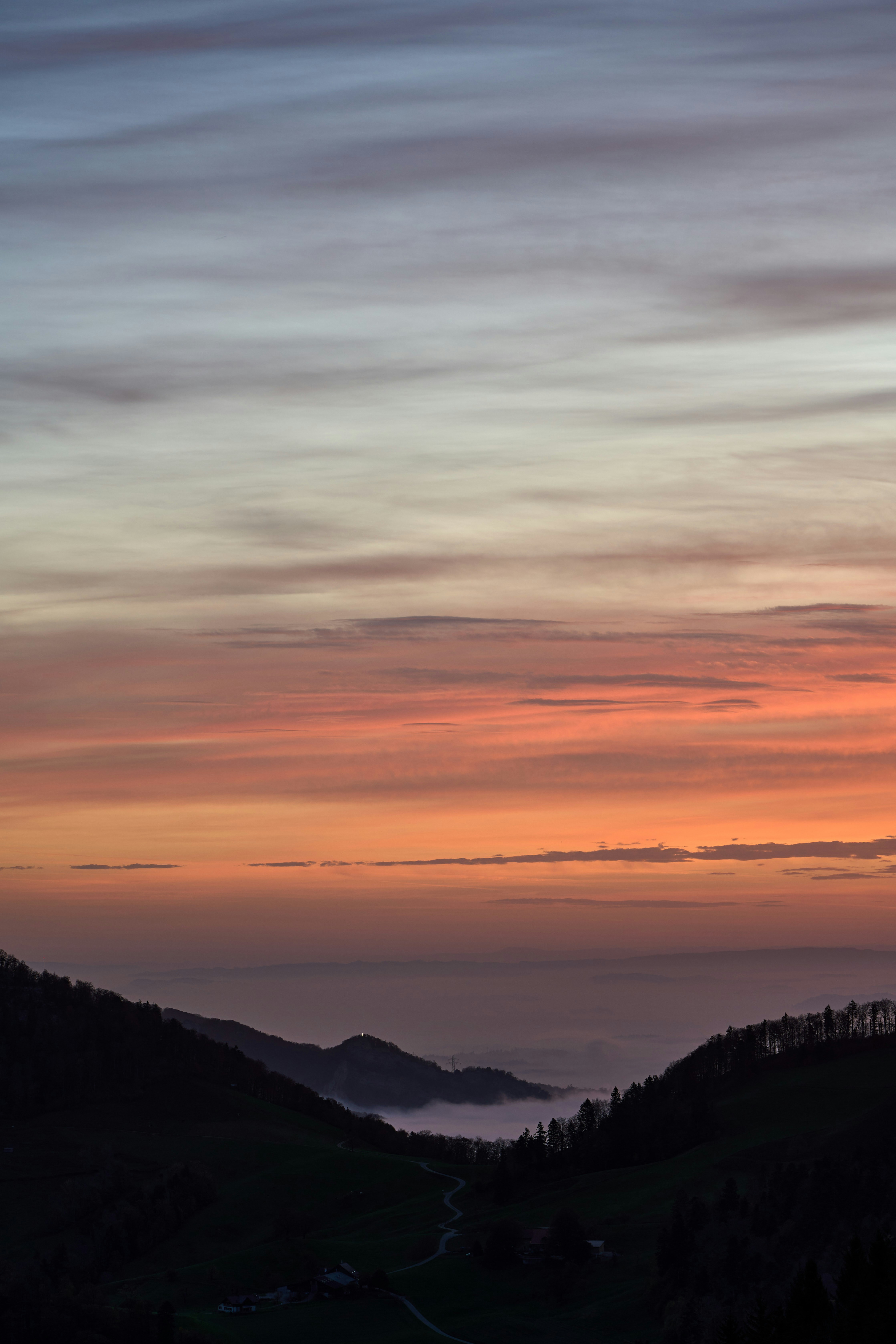 Photo by wolfgang_hasselmann