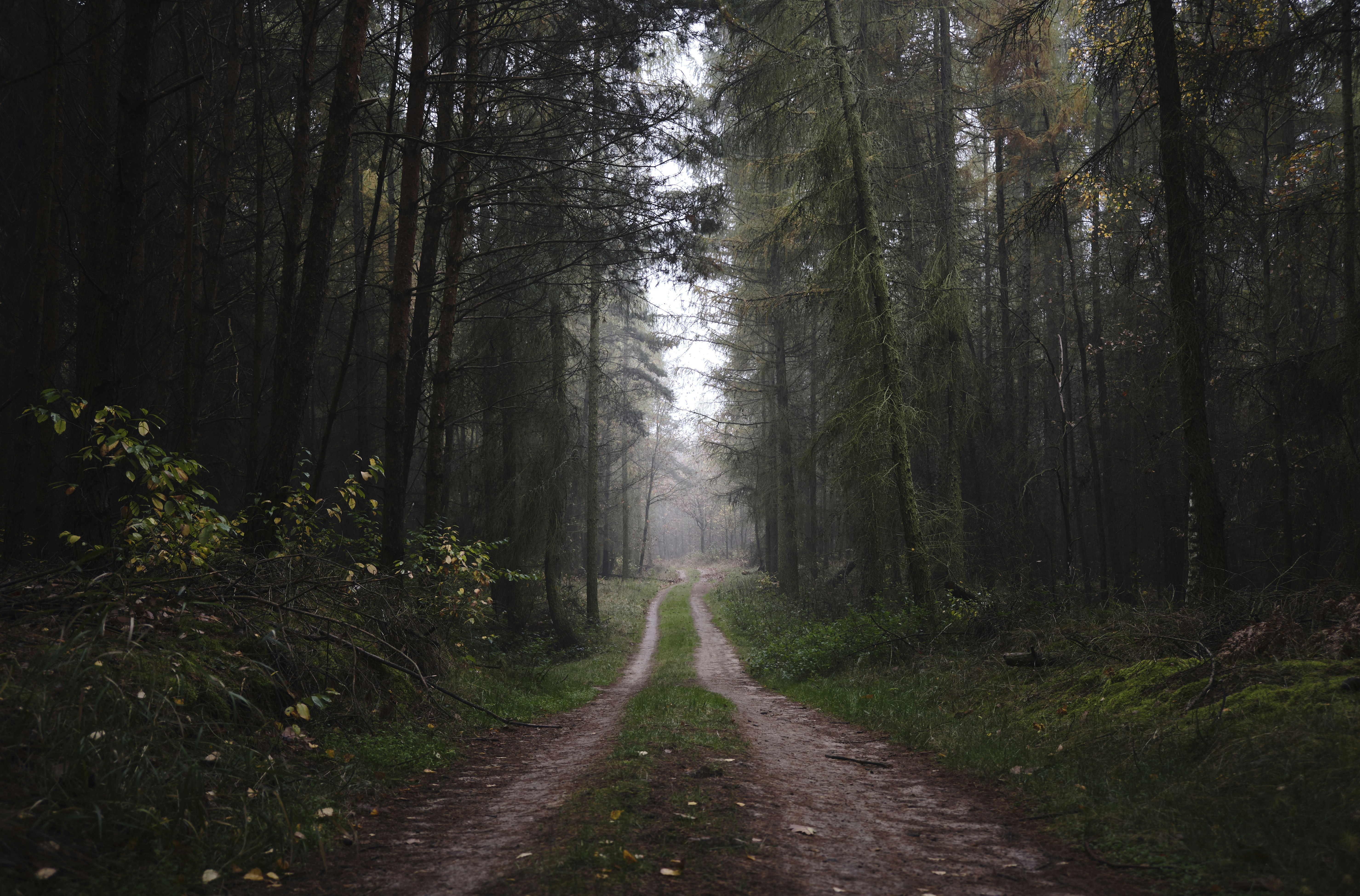 Photo by victor_vector