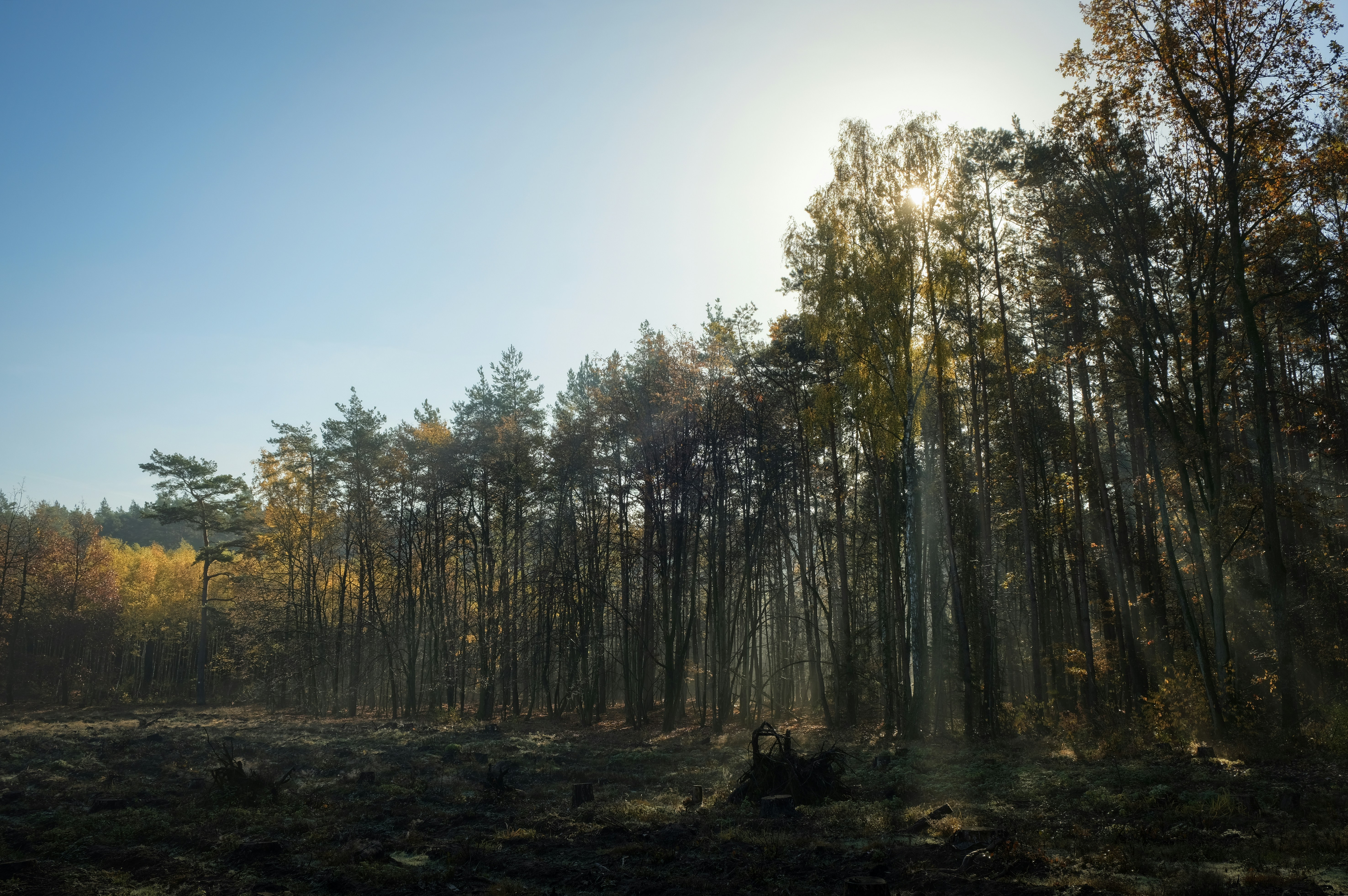 Photo by victor_vector