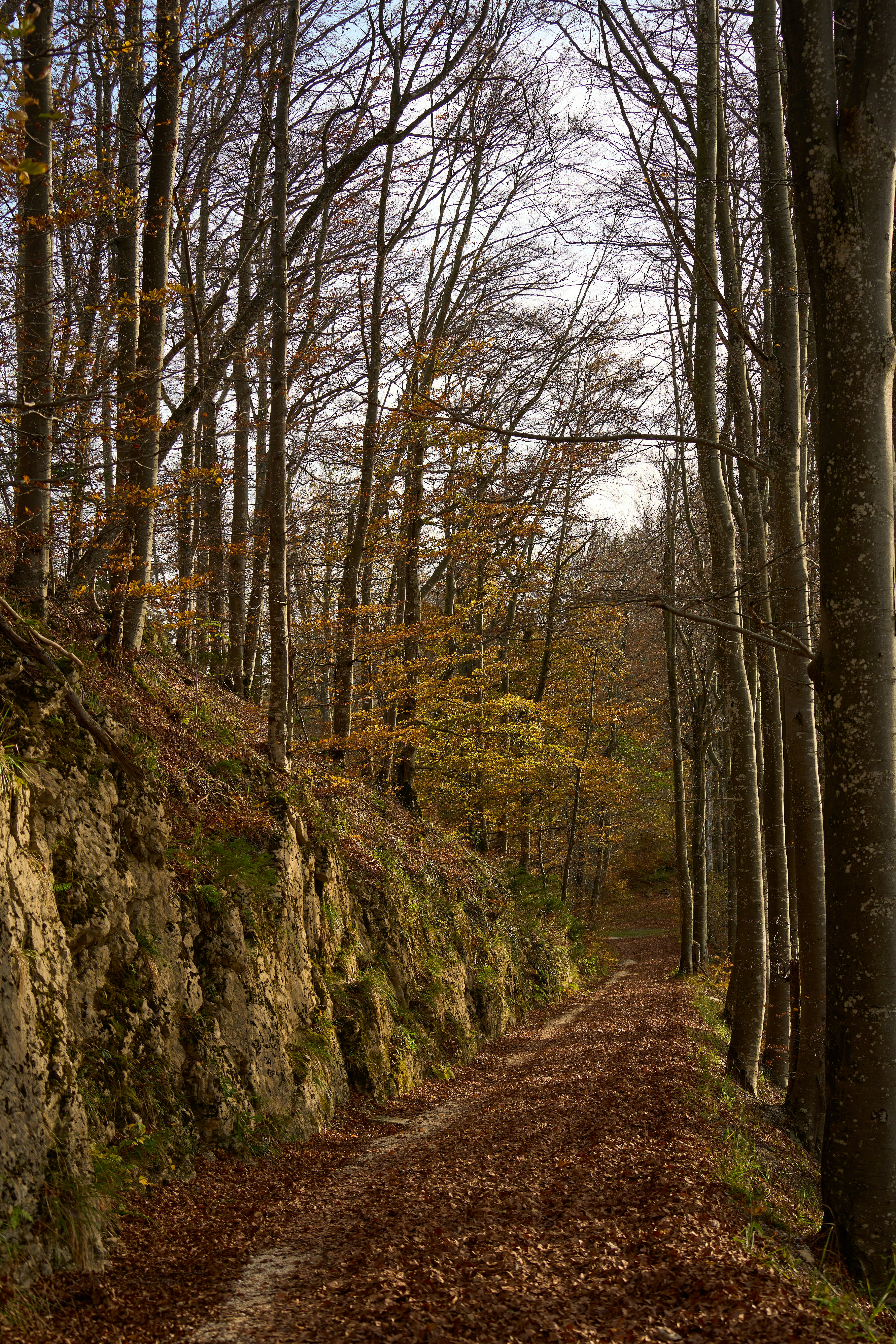 Photo by wolfgang_hasselmann
