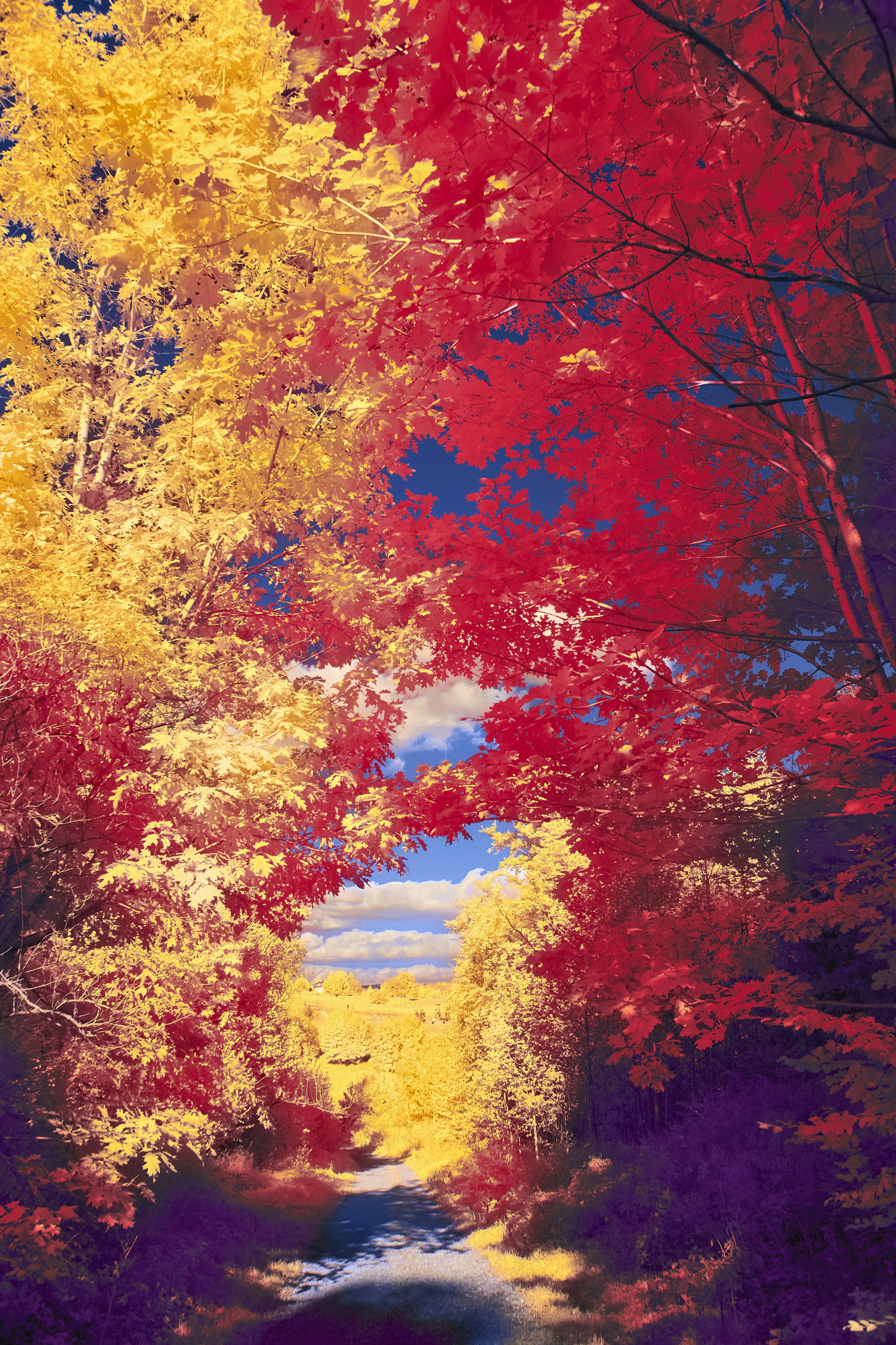 Photo by wolfgang_hasselmann