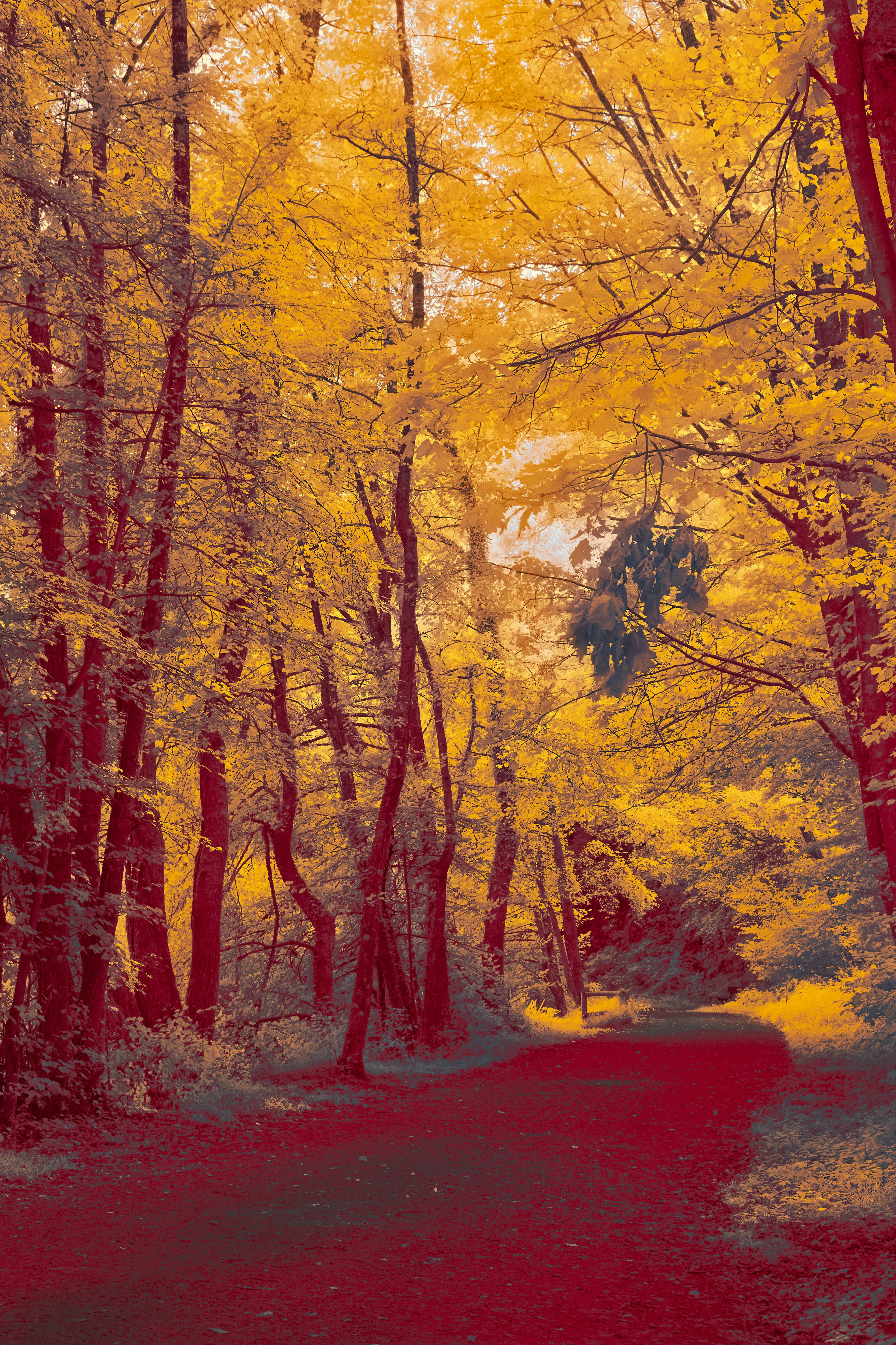 Photo by wolfgang_hasselmann