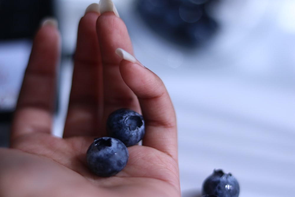 a hand holding blueberries