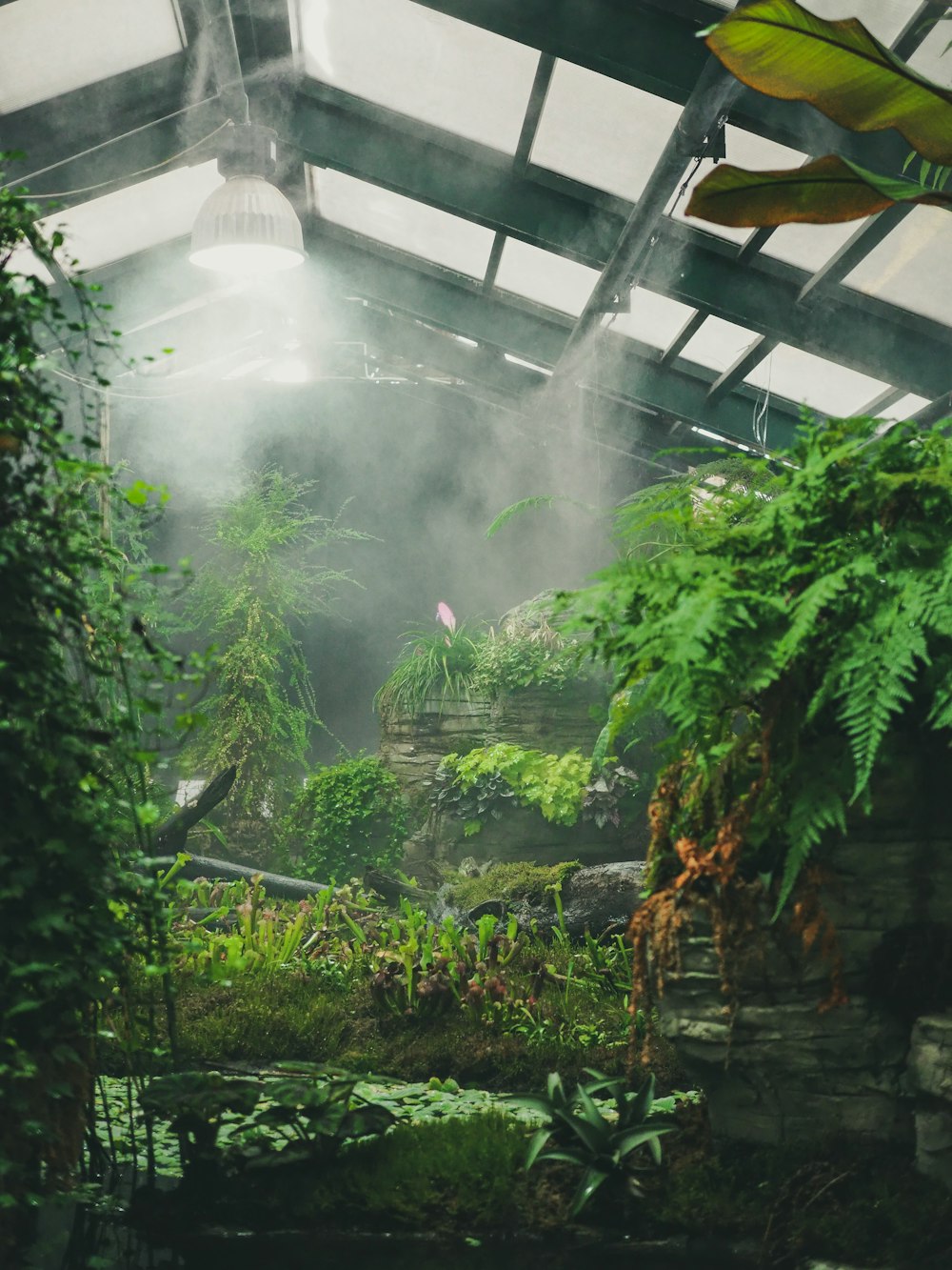 a waterfall in a garden