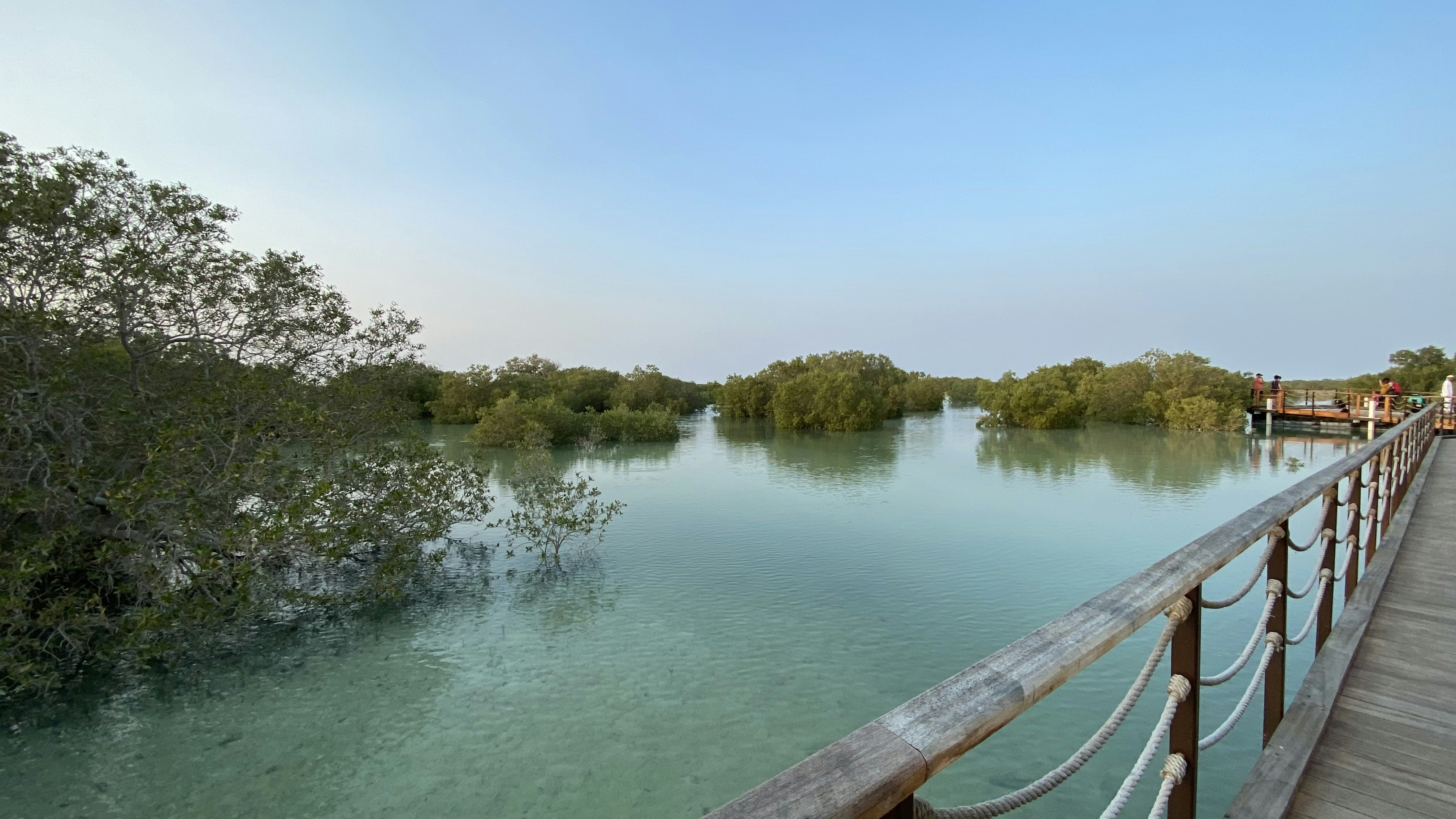 Sir Bani Yas Island photo